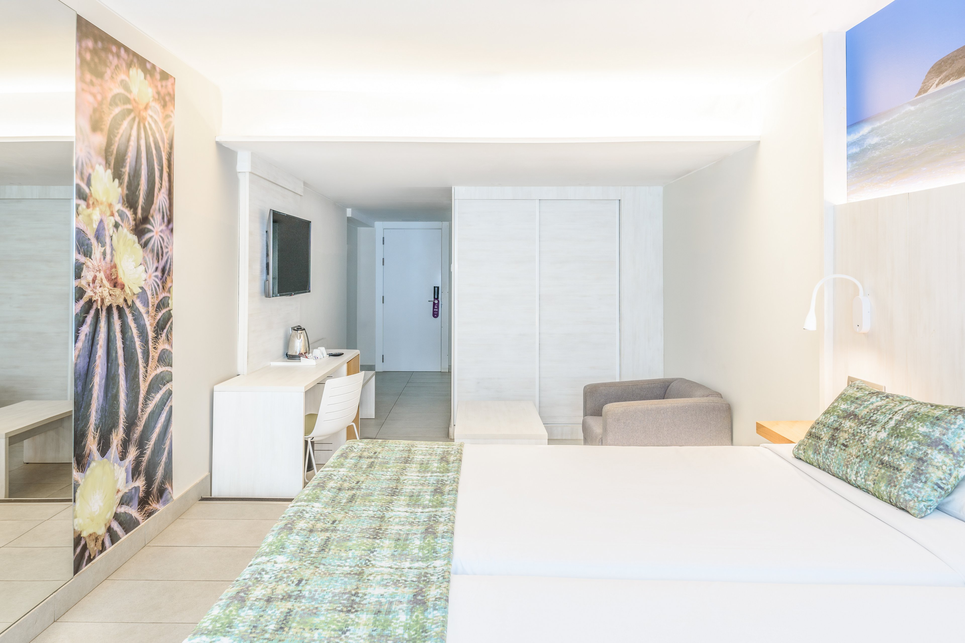 FERGUS Cactus Garden