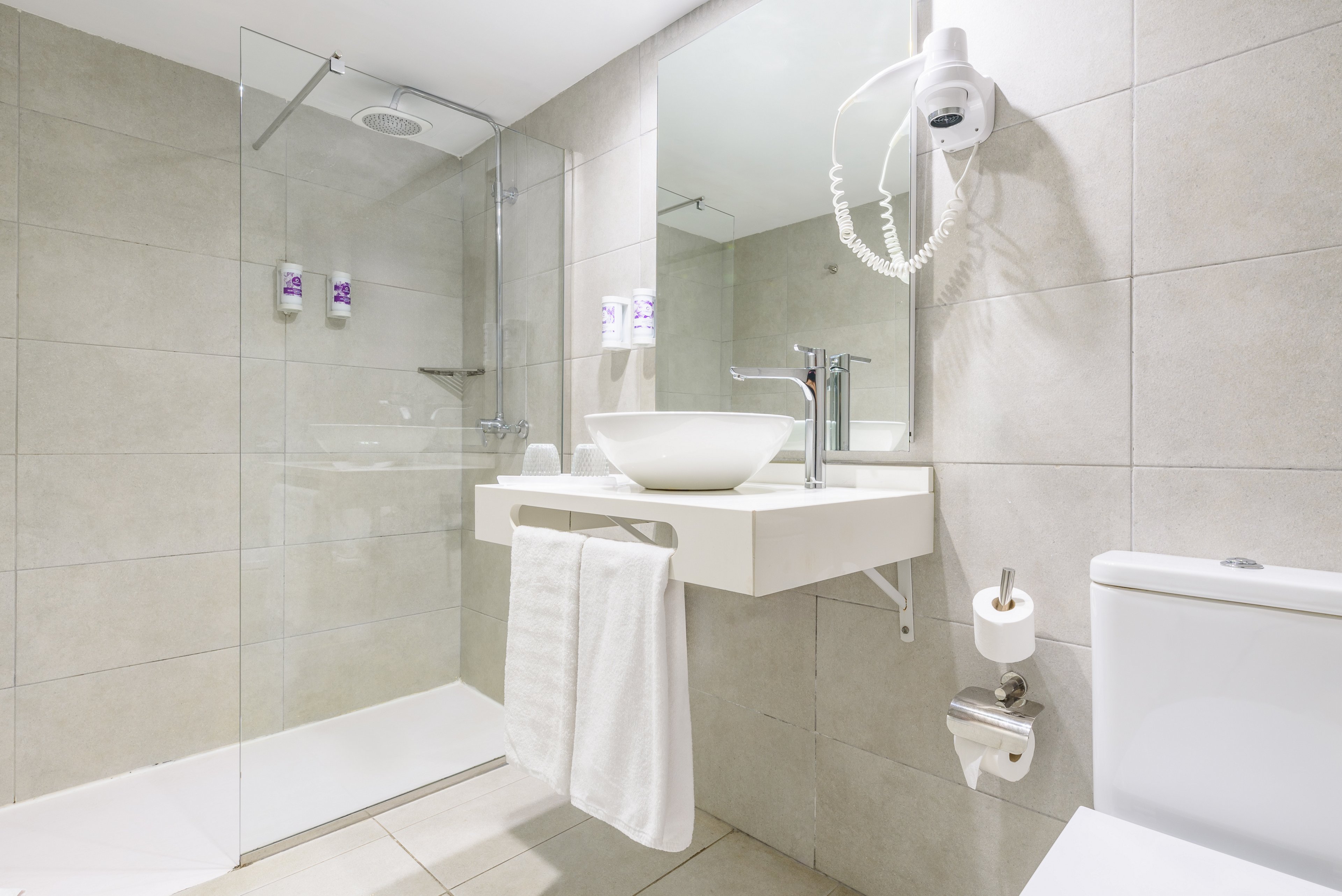 FERGUS Cactus Garden