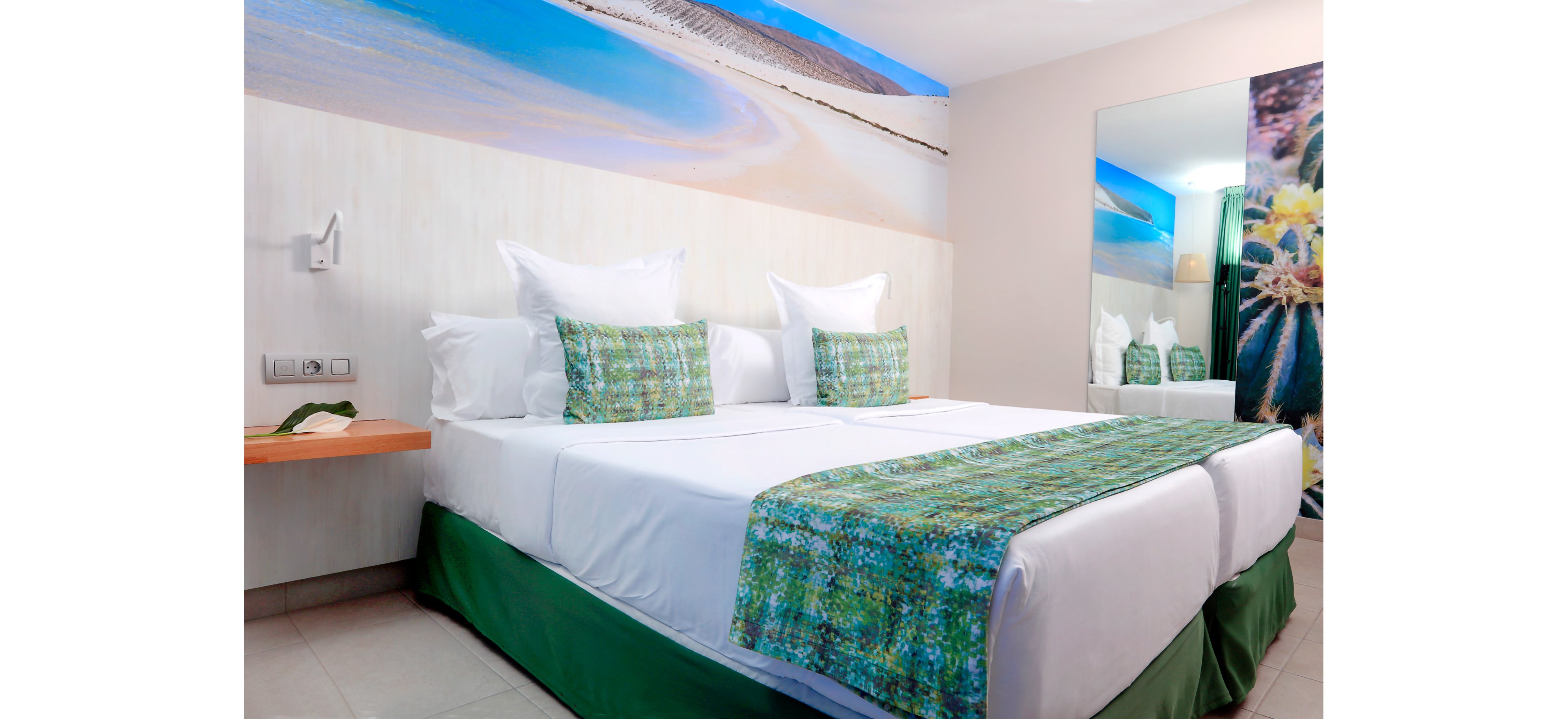 FERGUS Cactus Garden