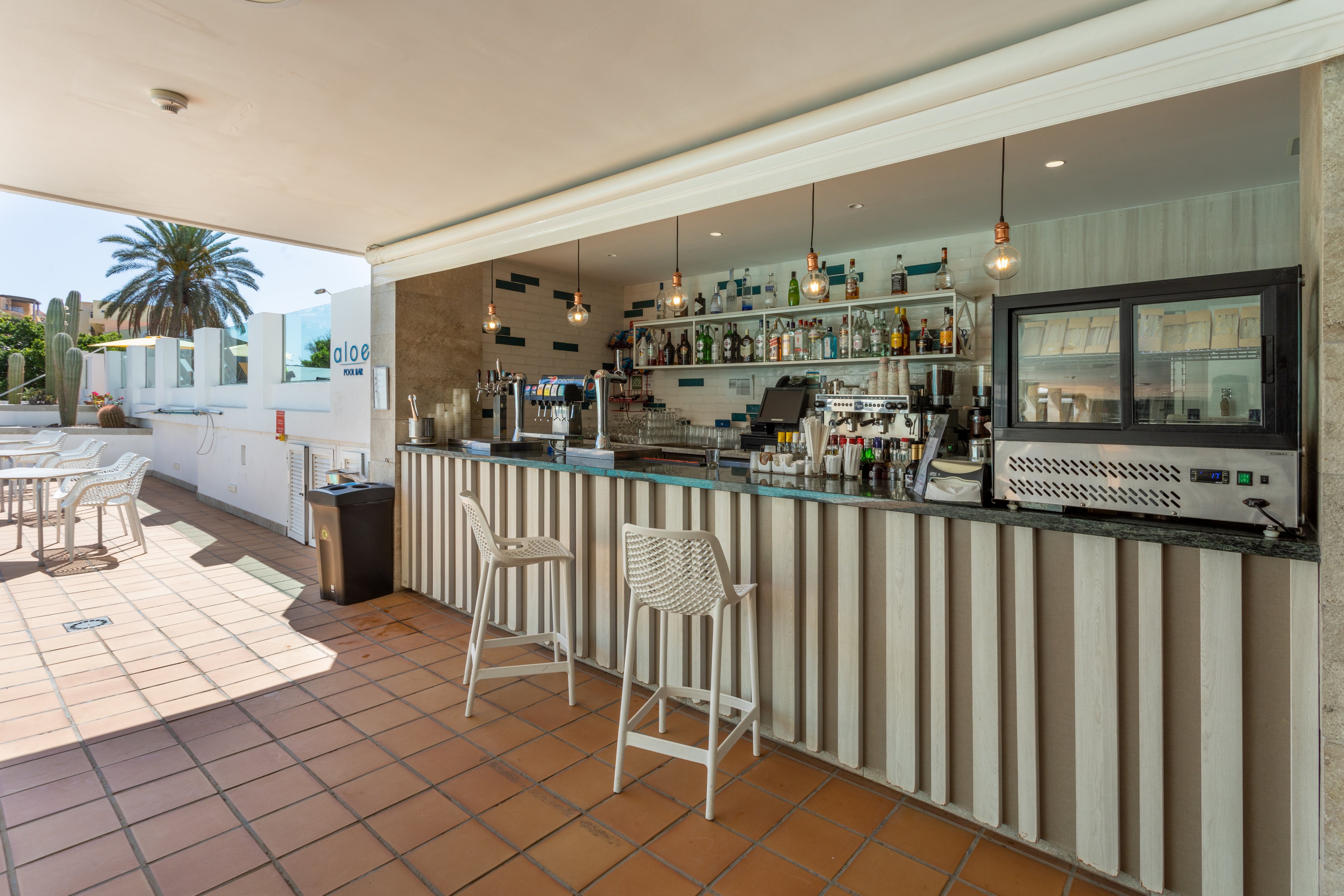 FERGUS Cactus Garden