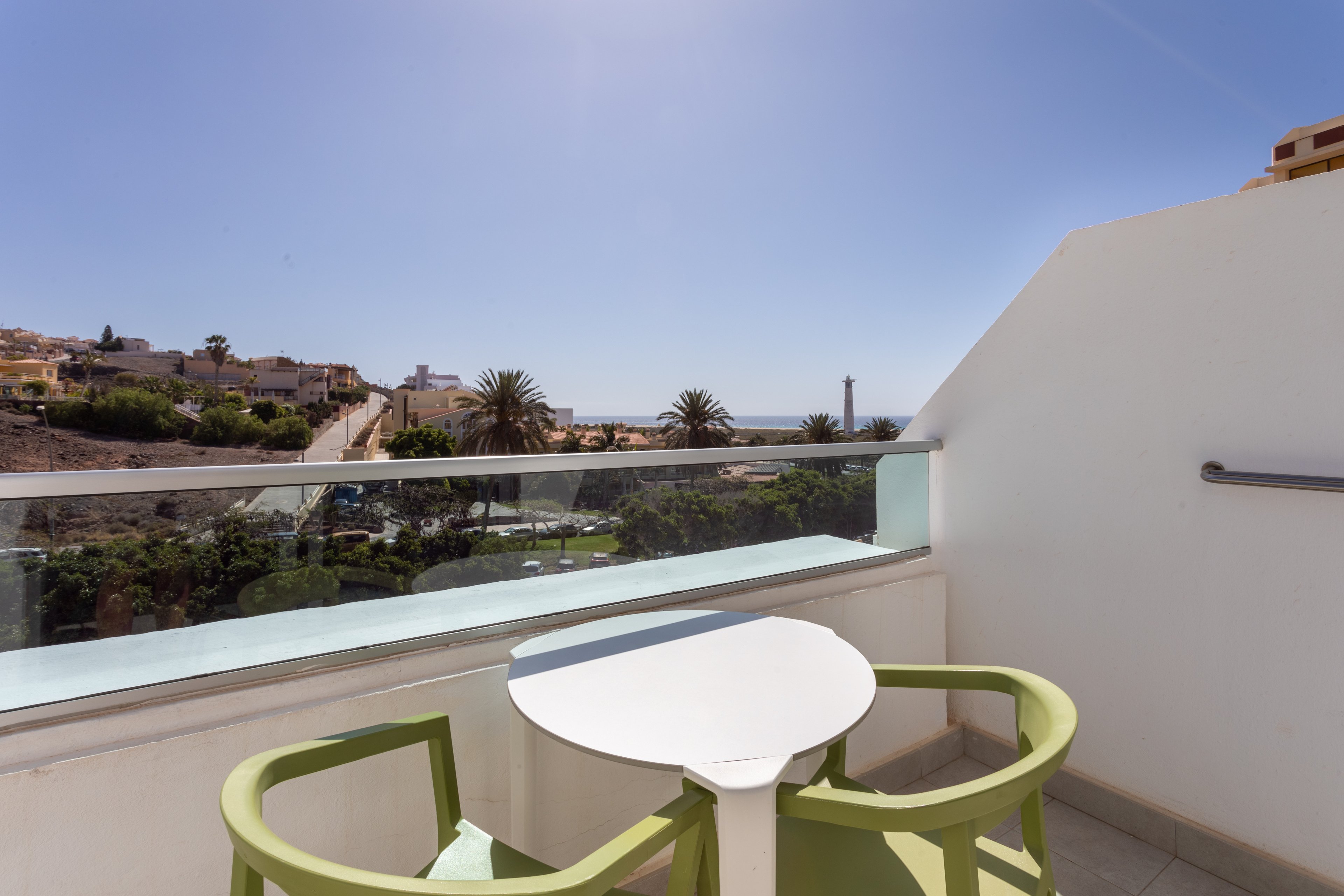 FERGUS Cactus Garden