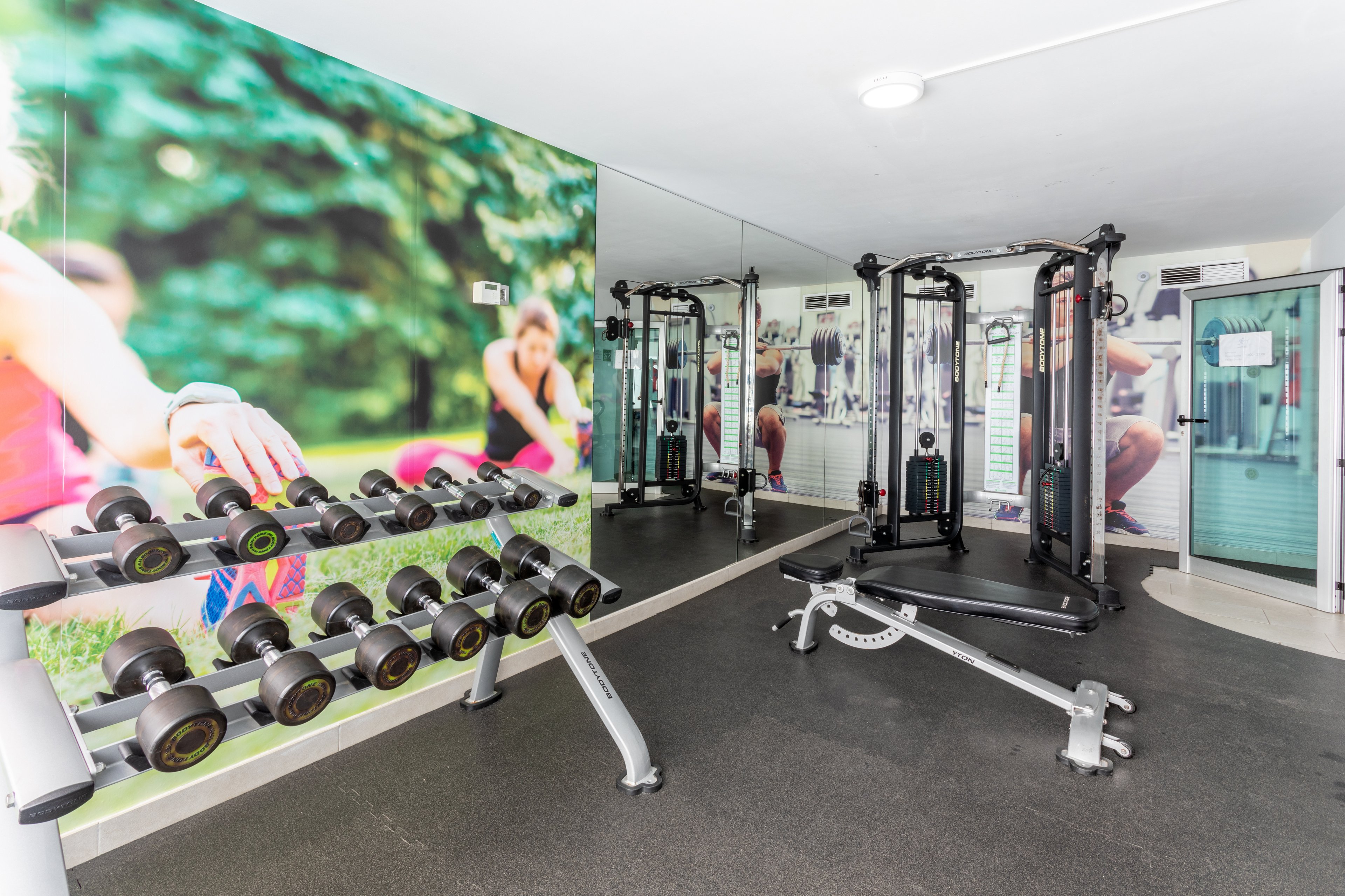 FERGUS Cactus Garden