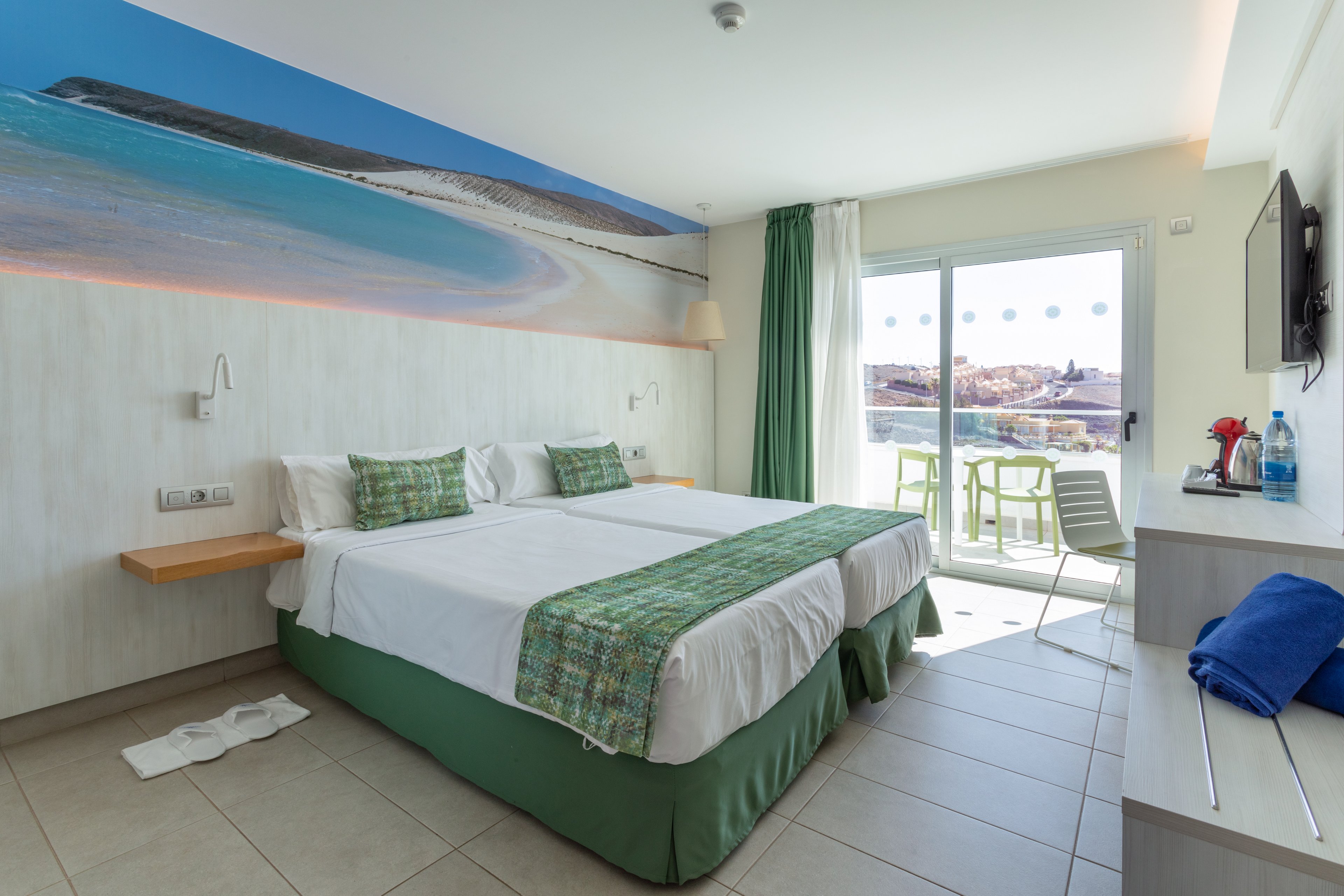 FERGUS Cactus Garden