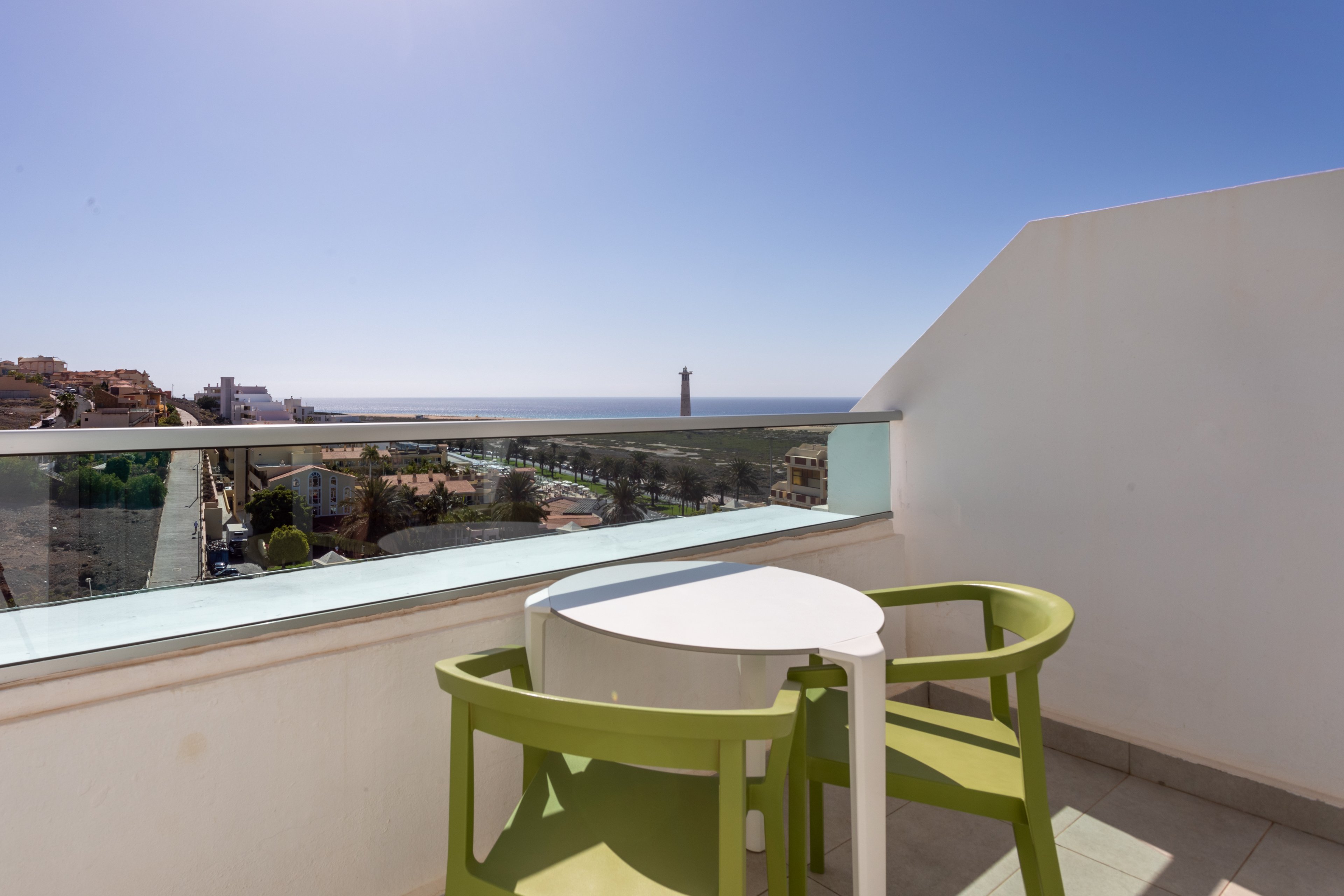 FERGUS Cactus Garden