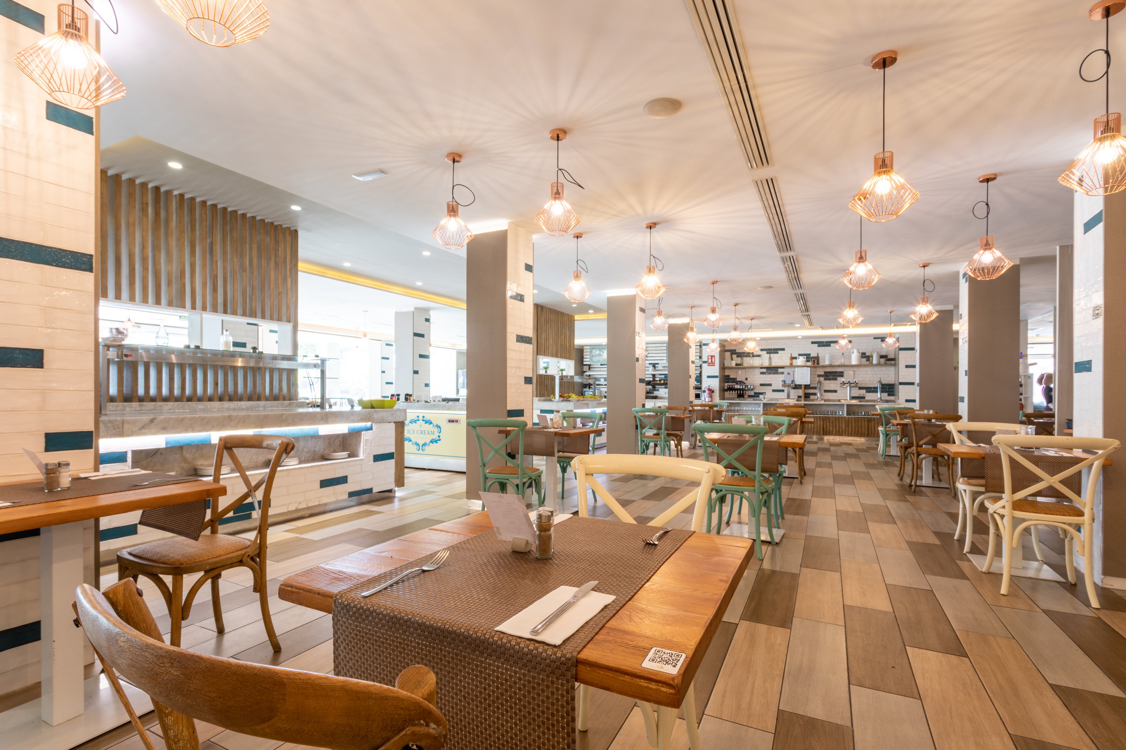 FERGUS Cactus Garden