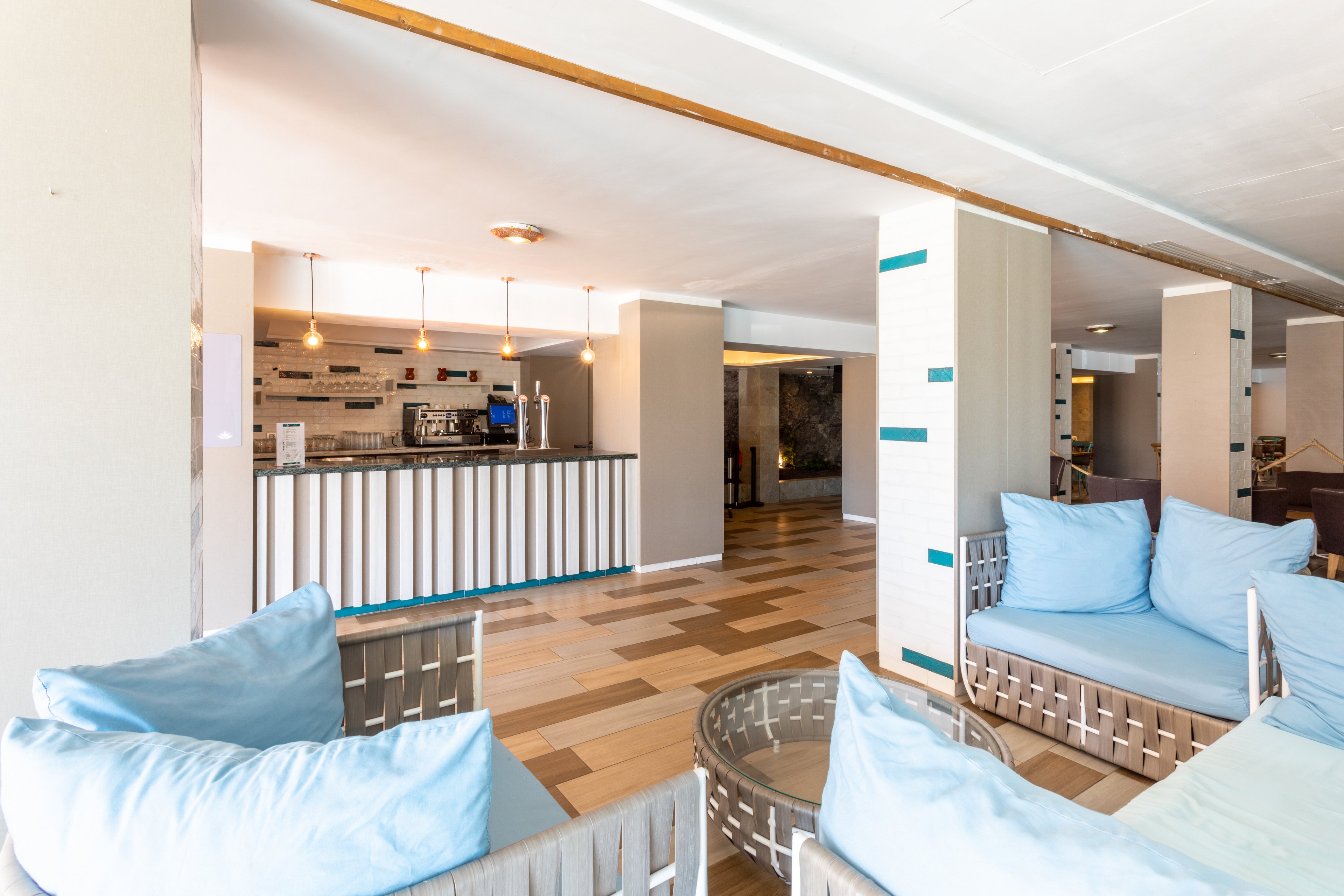 FERGUS Cactus Garden