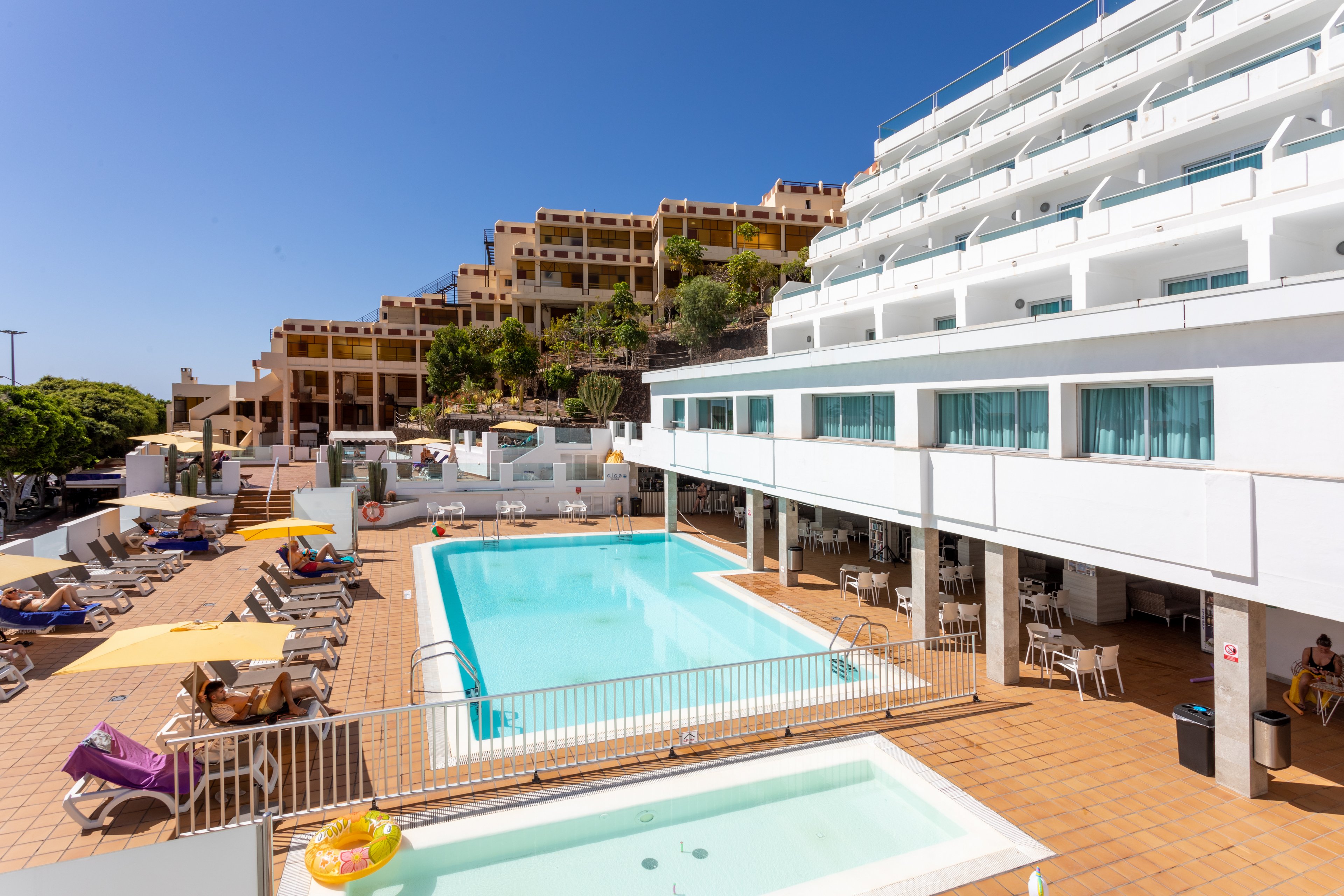 FERGUS Cactus Garden