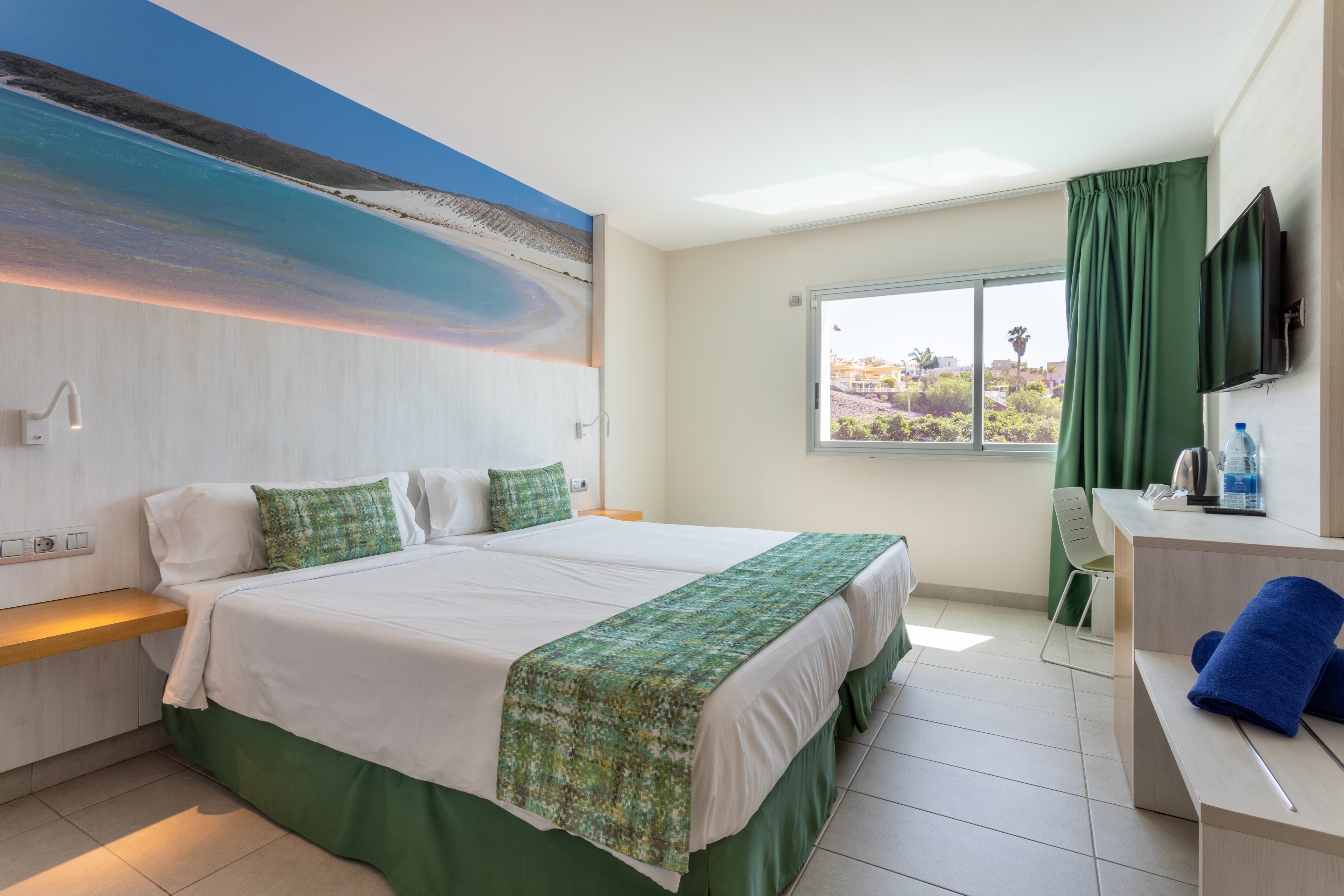 FERGUS Cactus Garden