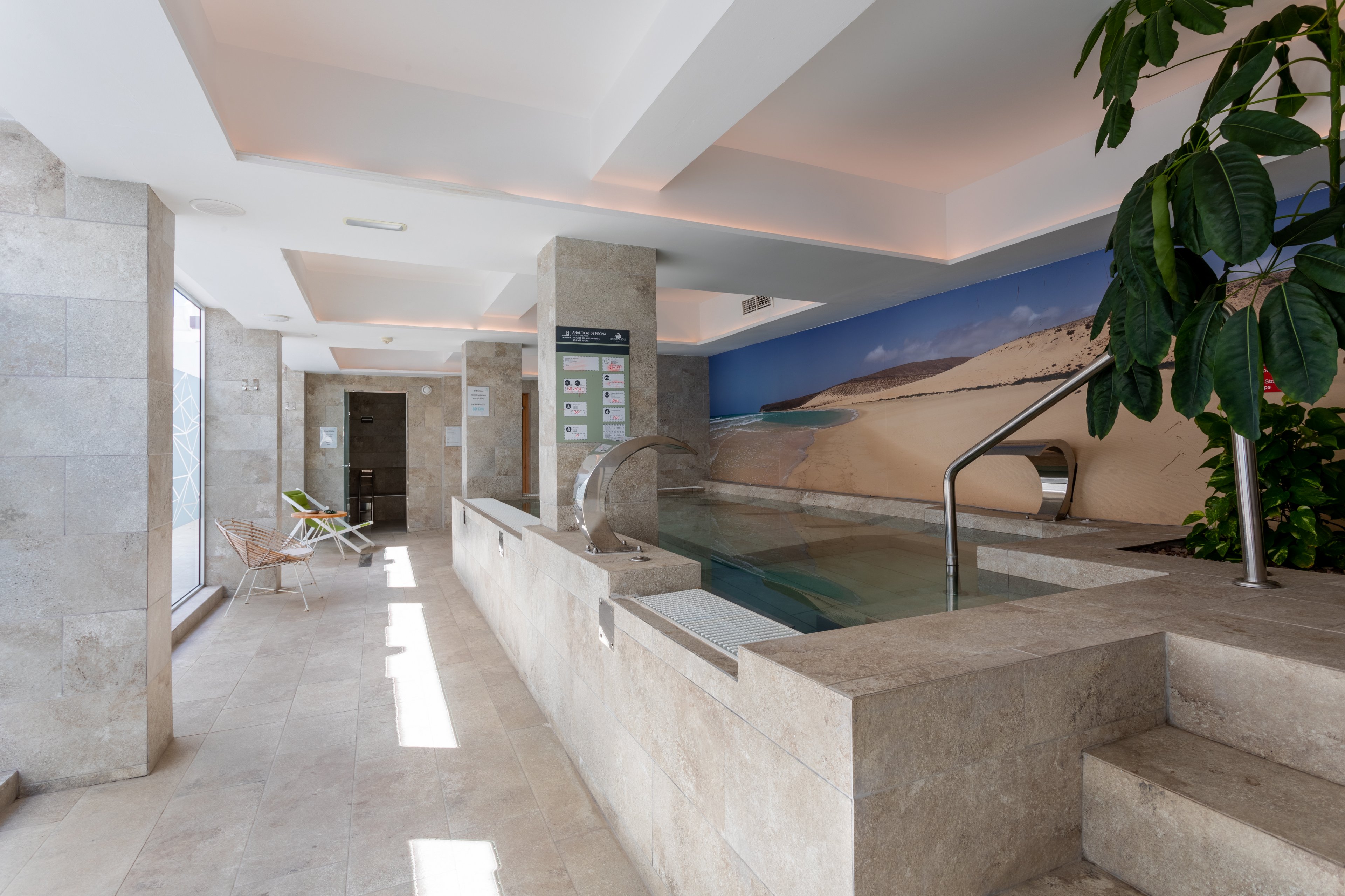 FERGUS Cactus Garden