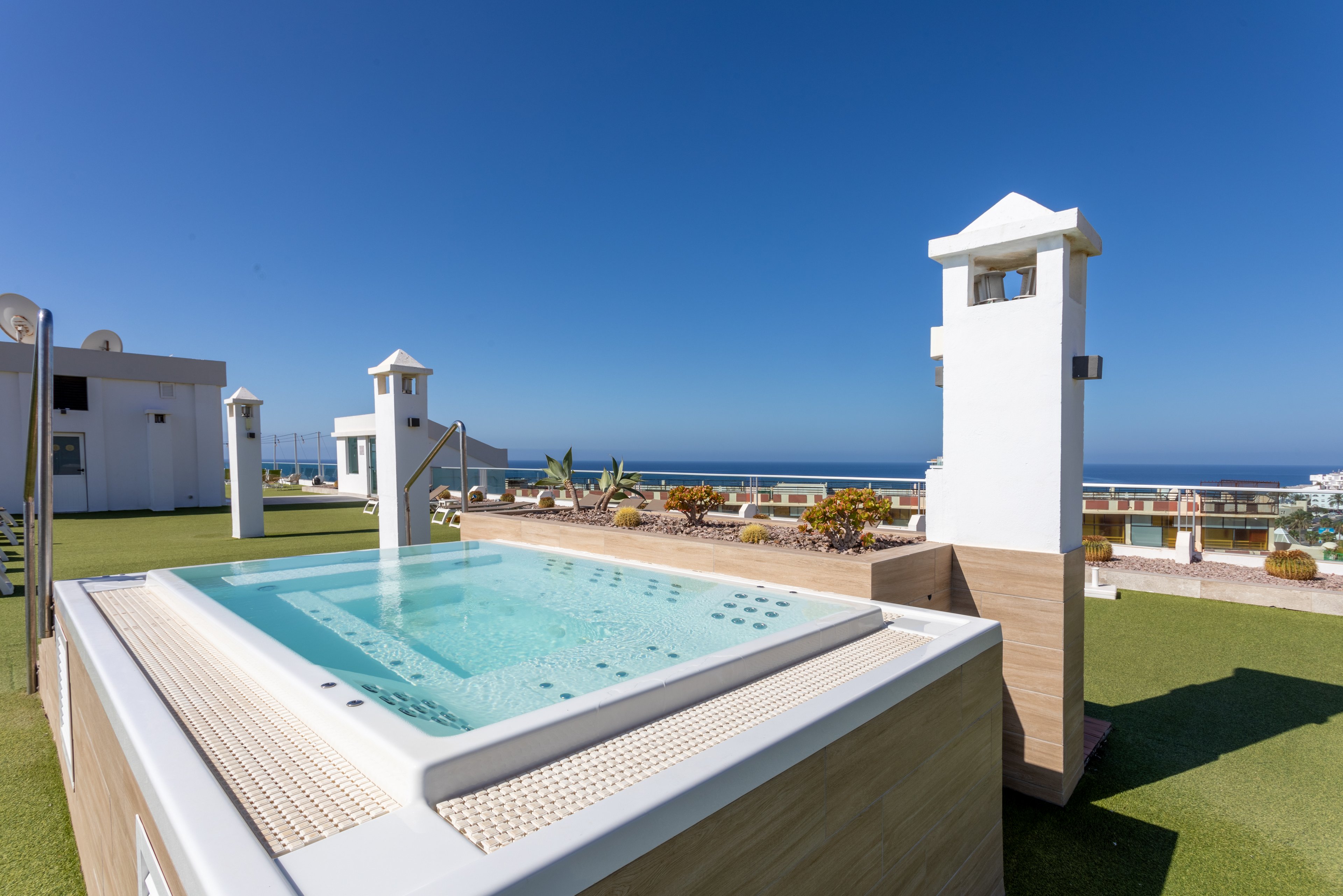 FERGUS Cactus Garden