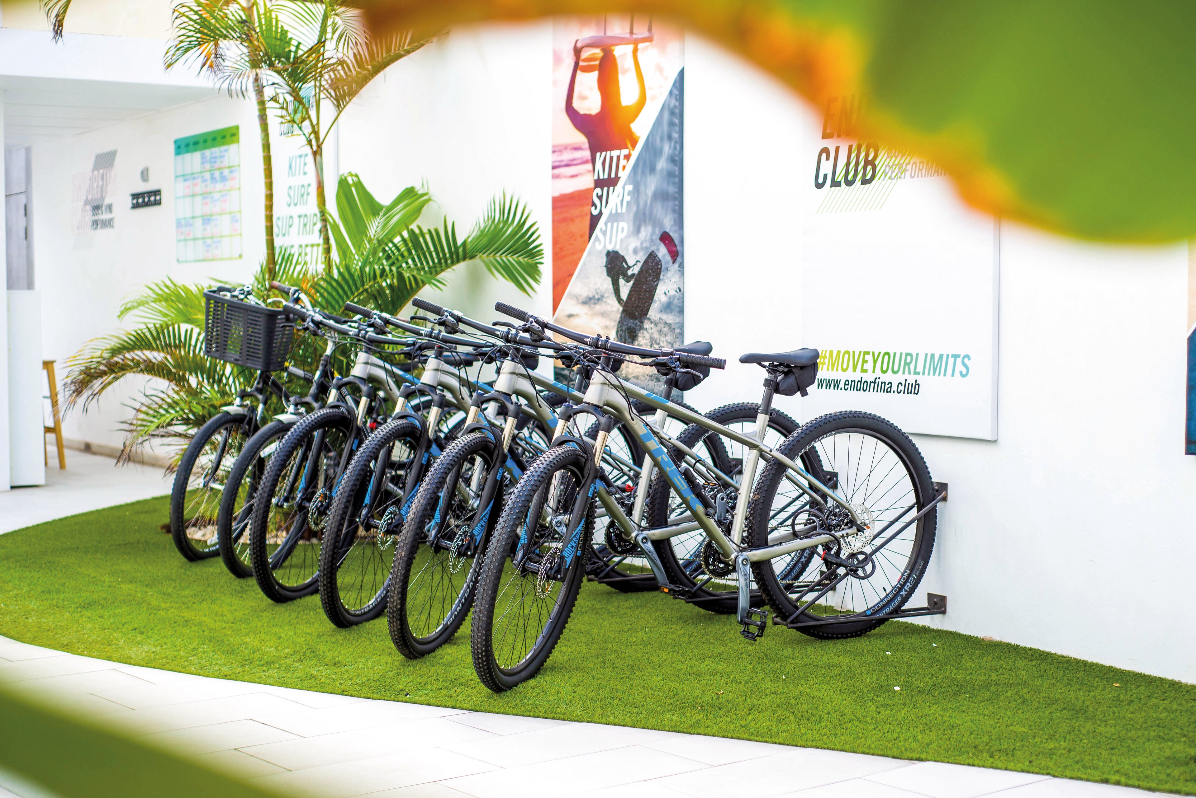 Bristol Sunset Beach