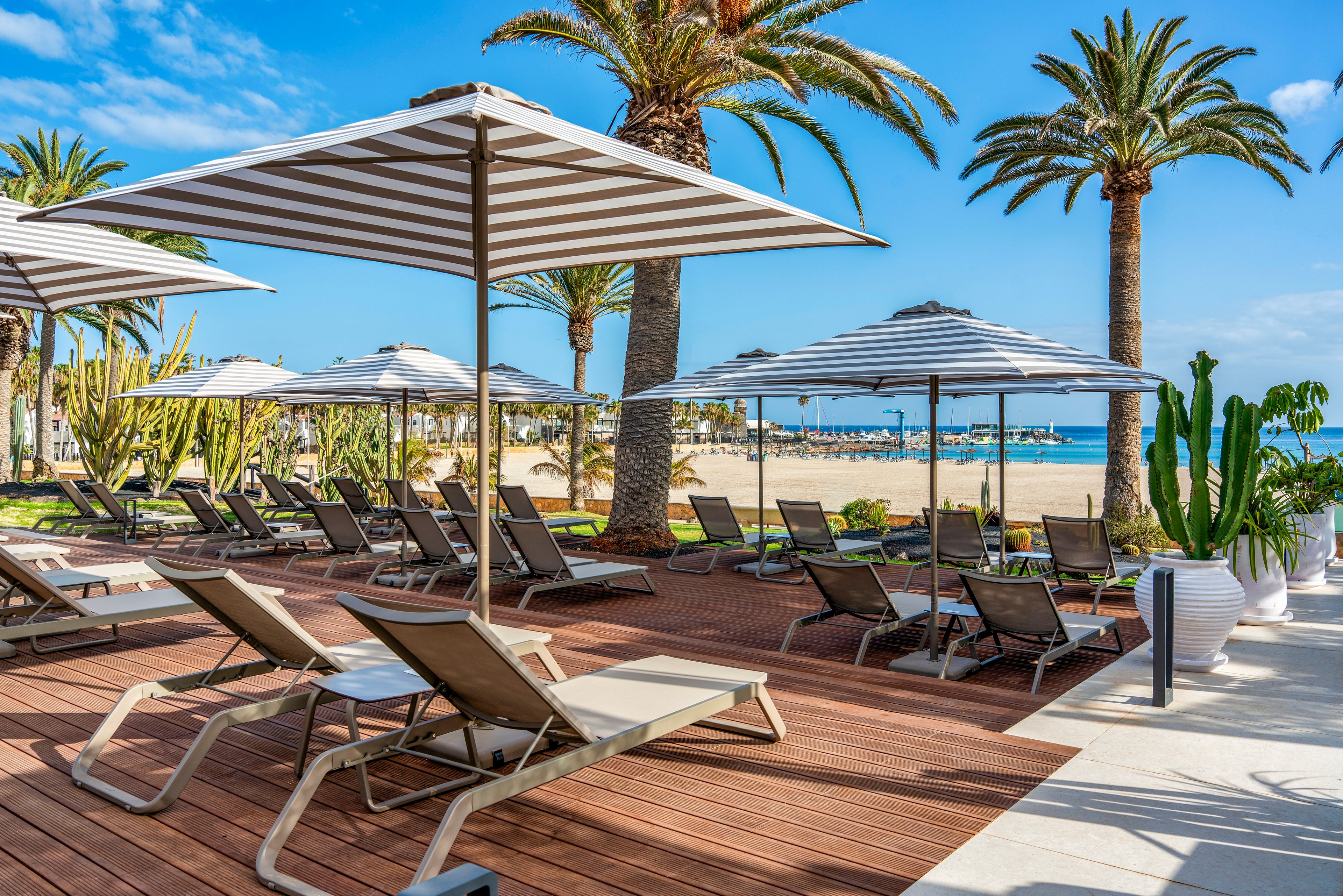 A row of reclining lounge chairs sits beneath large striped umbrellas on a wooden deck beside a sandy beach. Tall palm trees and various green plants frame the open-air relaxation area. The calm blue sea and clear sky create a bright, inviting coastal atmosphere. The scene suggests a resort or beachfront hotel terrace designed for sunbathing and leisure.