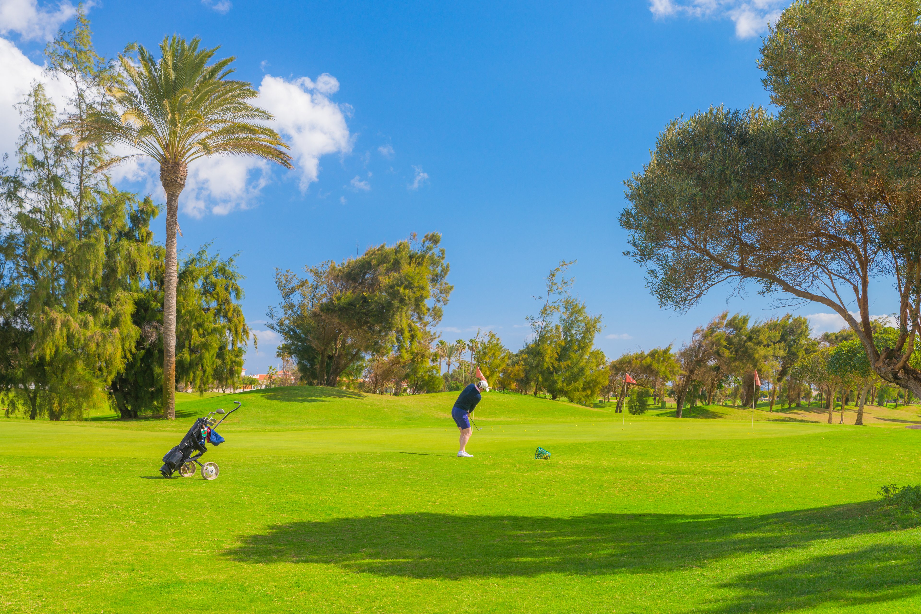 Sheraton Fuerteventura Beach Golf & Spa with 5 Rounds of Golf Included