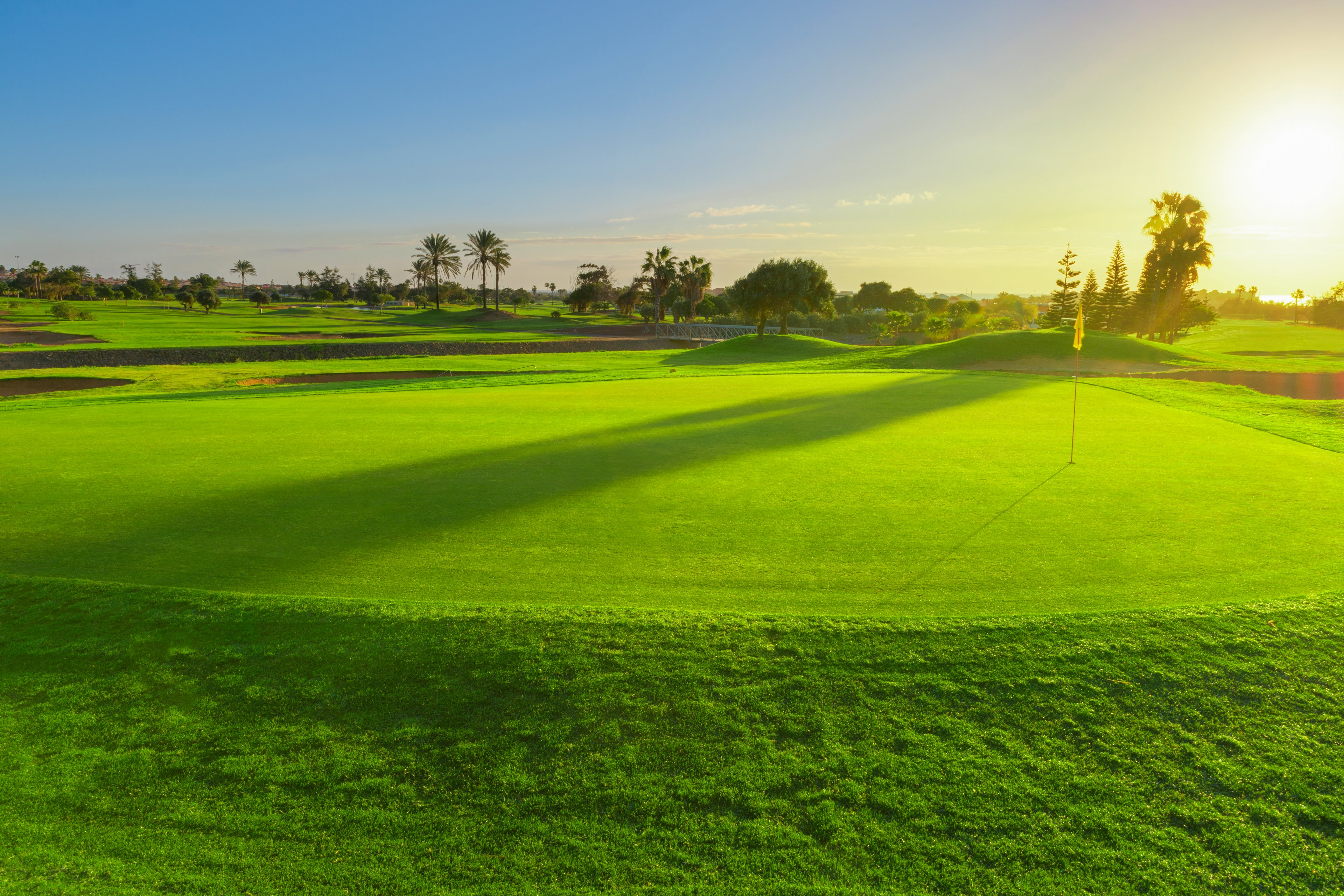 Sheraton Fuerteventura Beach Golf & Spa with 5 Rounds of Golf Included