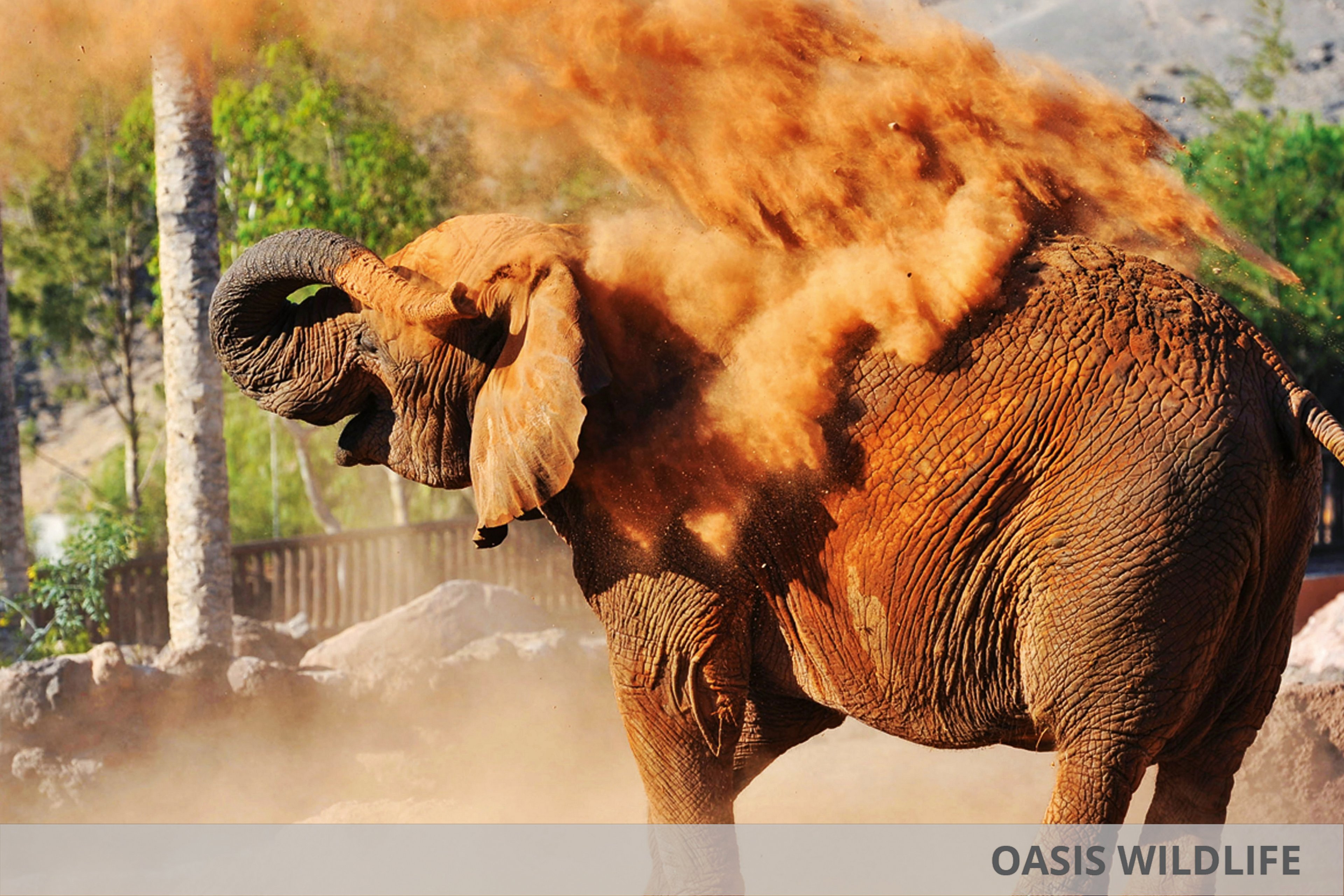 Eurostars Las Salinas & Oasis Wildlife