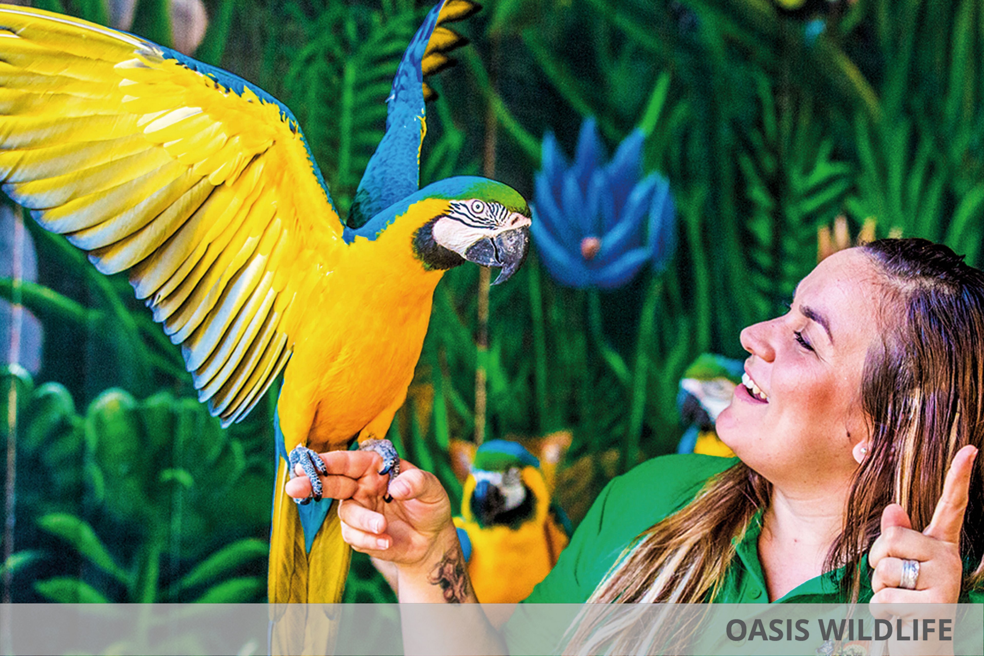 Eurostars Las Salinas & Oasis Wildlife