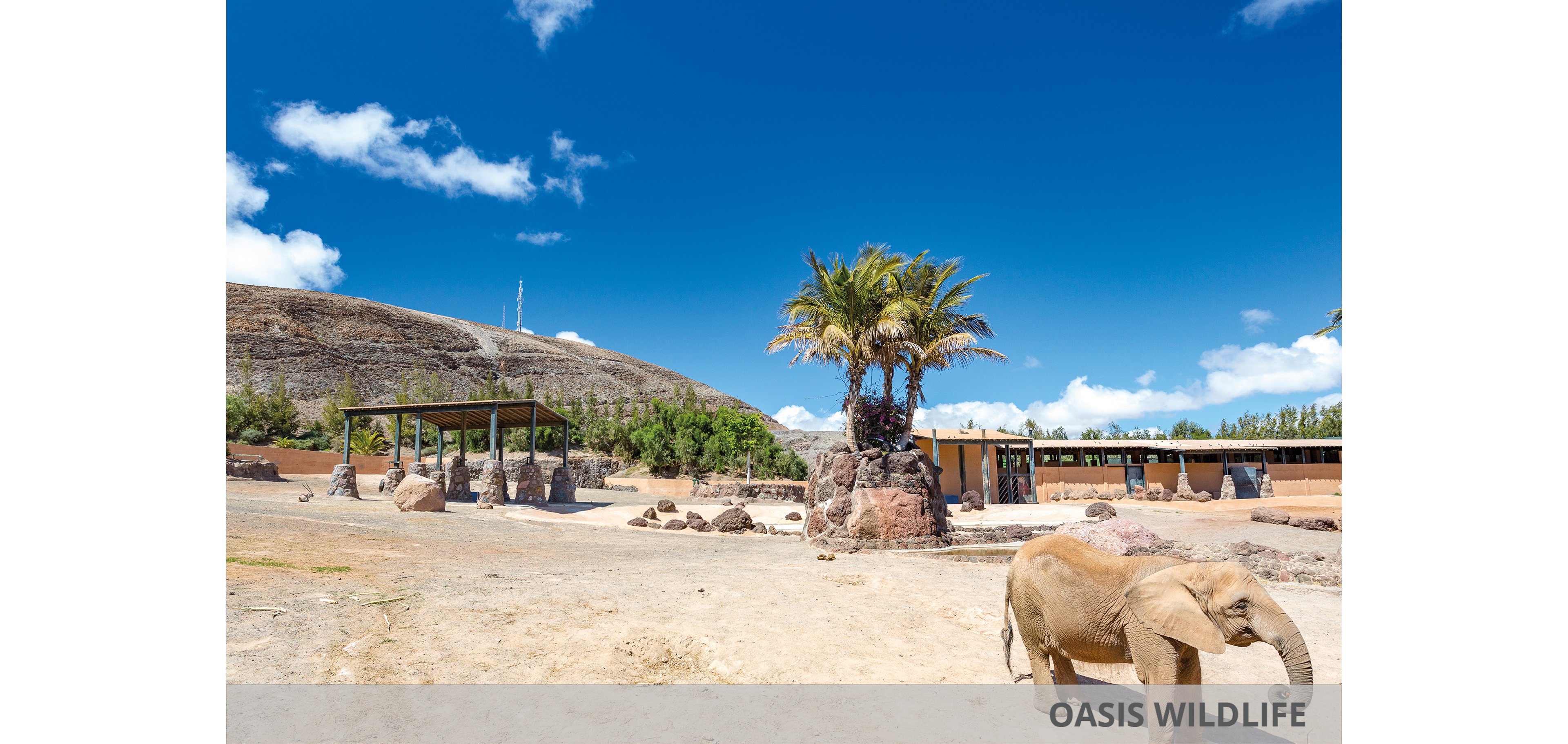 Eurostars Las Salinas & Oasis Wildlife