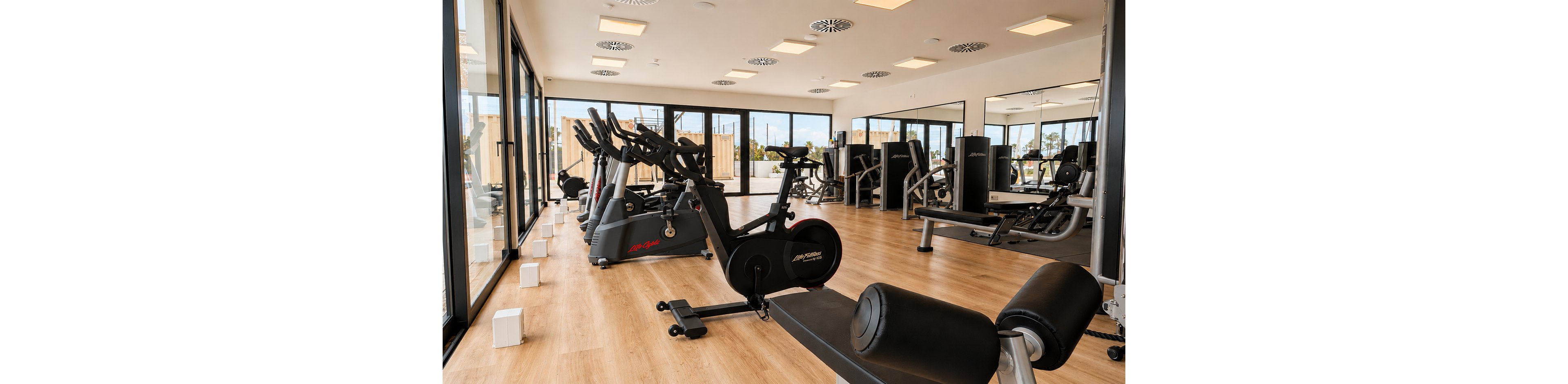 A bright, modern gym features rows of exercise machines neatly arranged on a light wooden floor. Stationary bikes, treadmills, and strength-training equipment line the room, facing large windows that let in abundant natural light. The space appears clean, organized, and ready for workouts, with mirrors and glass walls enhancing the open feel. No people are present, emphasizing the equipment and interior design of the fitness area.