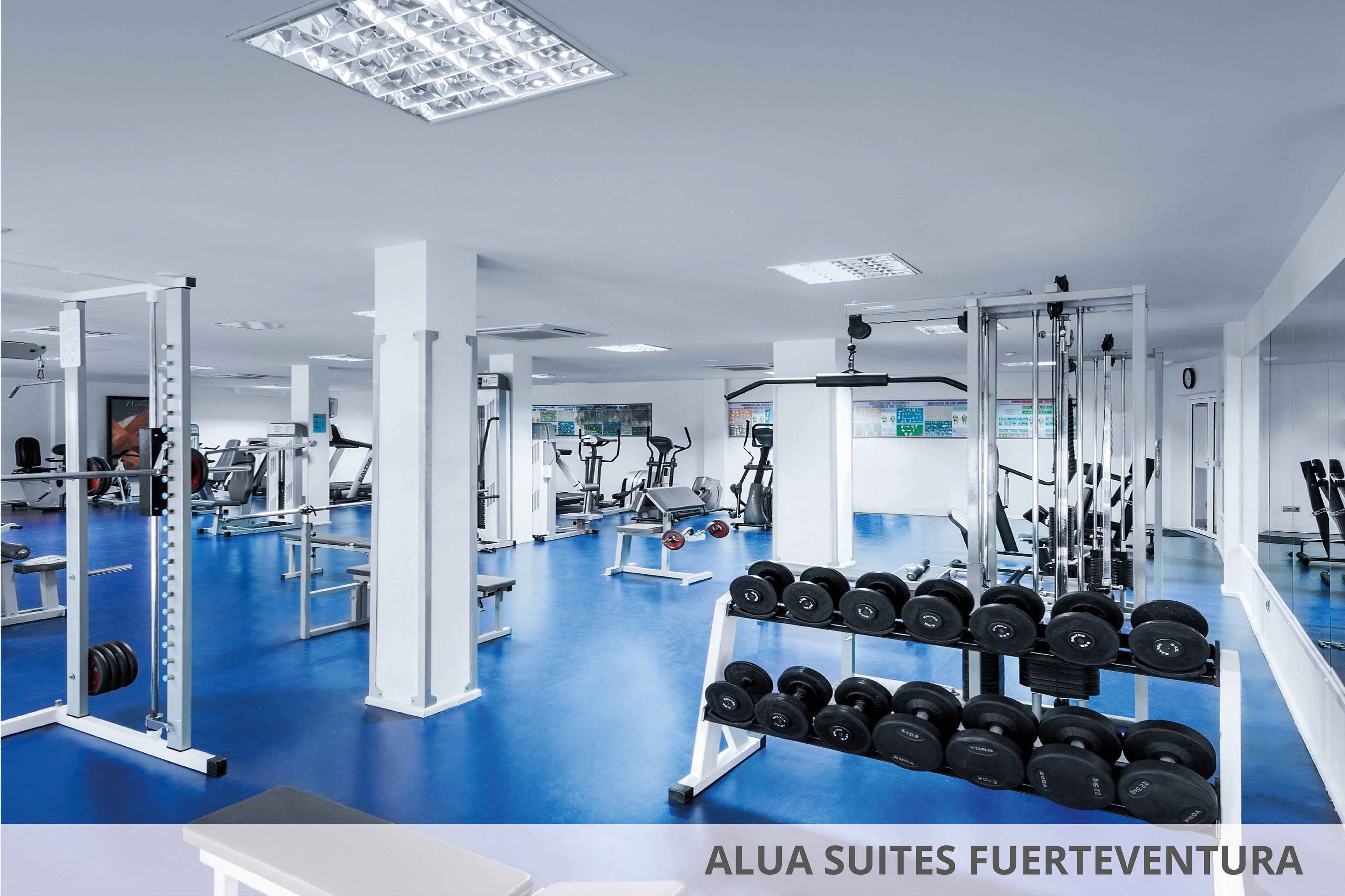 Alua Suites Fuerteventura - My Favourite Club