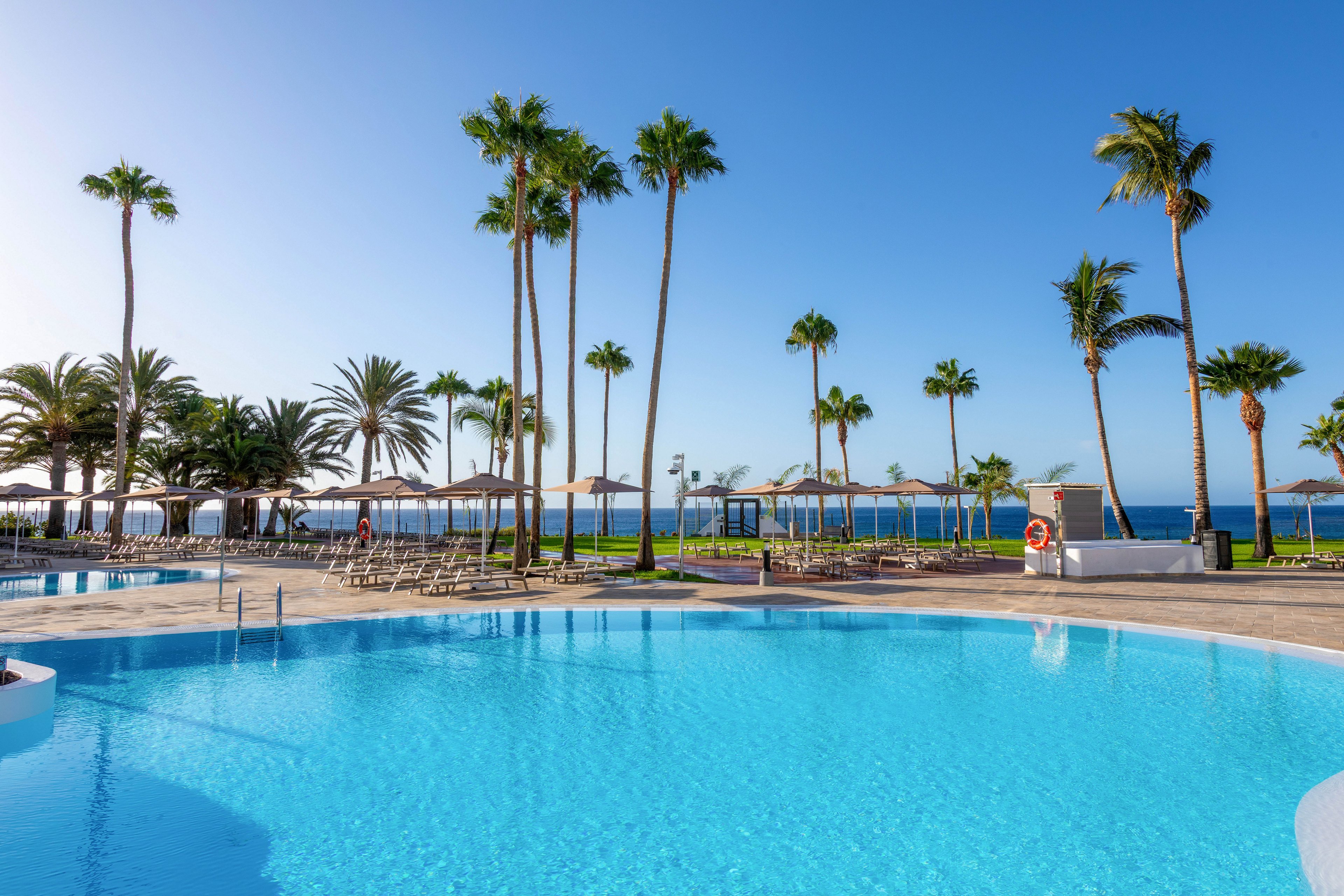 A large outdoor swimming pool is the main focus, surrounded by tall palm trees and sun loungers. The setting is a tropical seaside resort with clear blue skies and calm ocean in the background. The mood is relaxed and inviting, with bright blue tones dominating the palette. No people are visible, emphasizing tranquility and leisure.