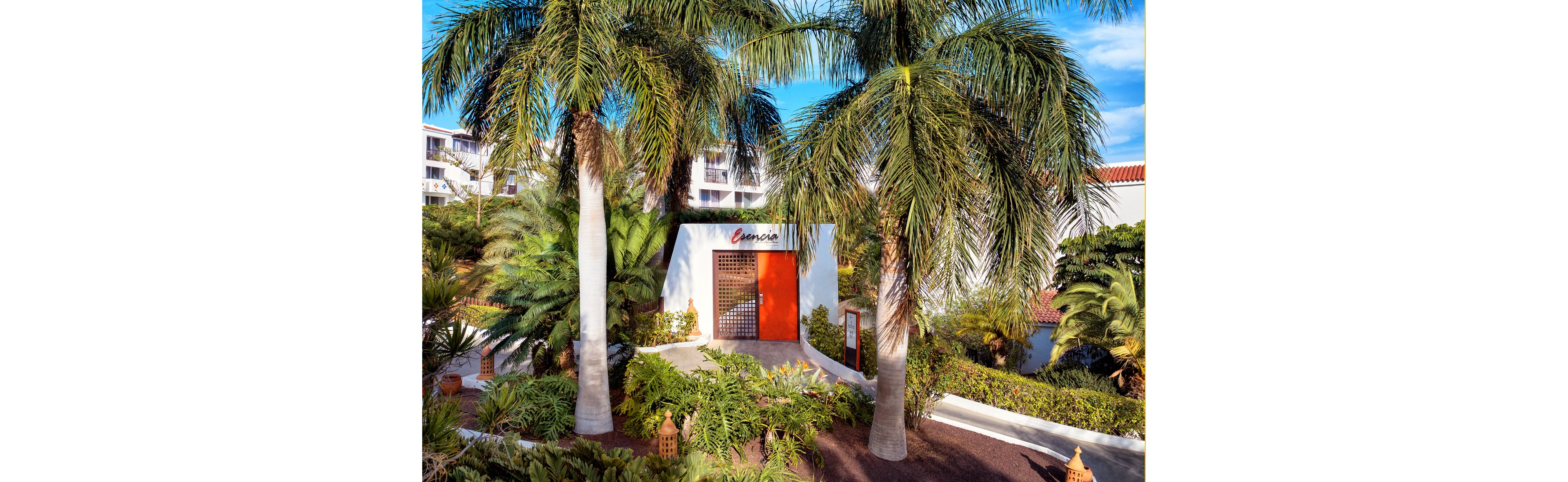 The image features a modern entrance surrounded by tall palm trees and dense tropical plants. The setting appears to be a resort or hotel, with white buildings visible in the background and a prominent red door at the center. The sign above the entrance reads 'Emoce,' adding a distinct visual element. The overall mood is vibrant and inviting, with a bright blue sky and warm sunlight enhancing the scene.