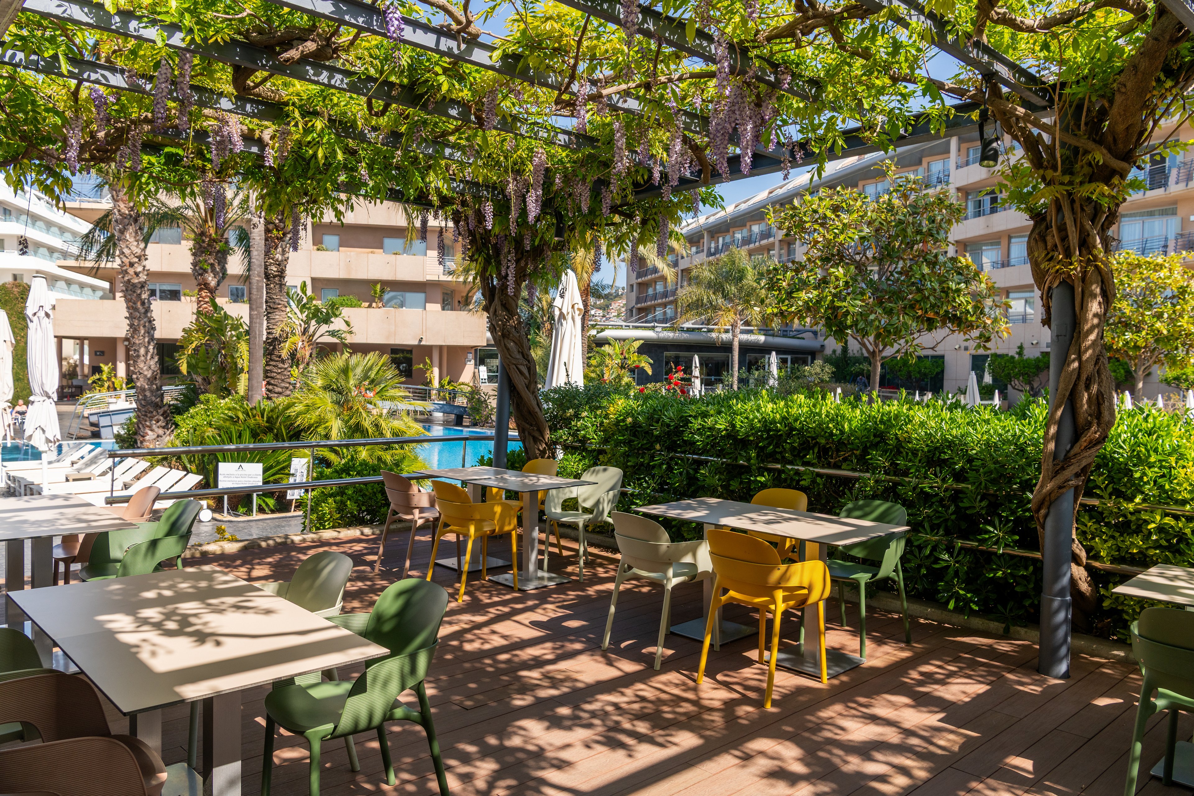 Outdoor restaurant seating is arranged on a wooden terrace shaded by a leafy pergola. Colorful chairs and tables overlook a bright swimming pool surrounded by palm trees and lush greenery. A modern hotel complex with balconies rises in the background under a clear blue sky. The scene suggests a relaxed vacation atmosphere in a warm, sunny climate.