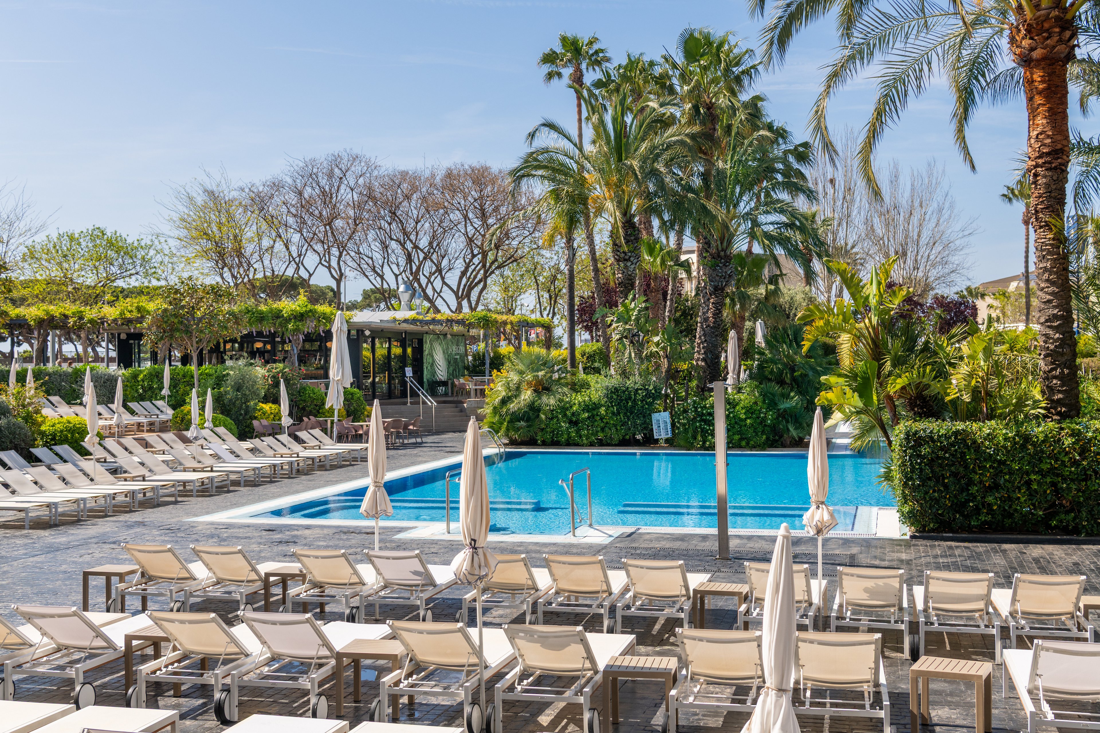 A large outdoor swimming pool is surrounded by rows of empty sun loungers and umbrellas at a resort. Tall palm trees and lush greenery frame the pool area, creating a tropical atmosphere. The clear blue water reflects the bright daytime sky, suggesting warm, sunny weather. In the background, a modern building and shaded terrace are partially visible among the trees.