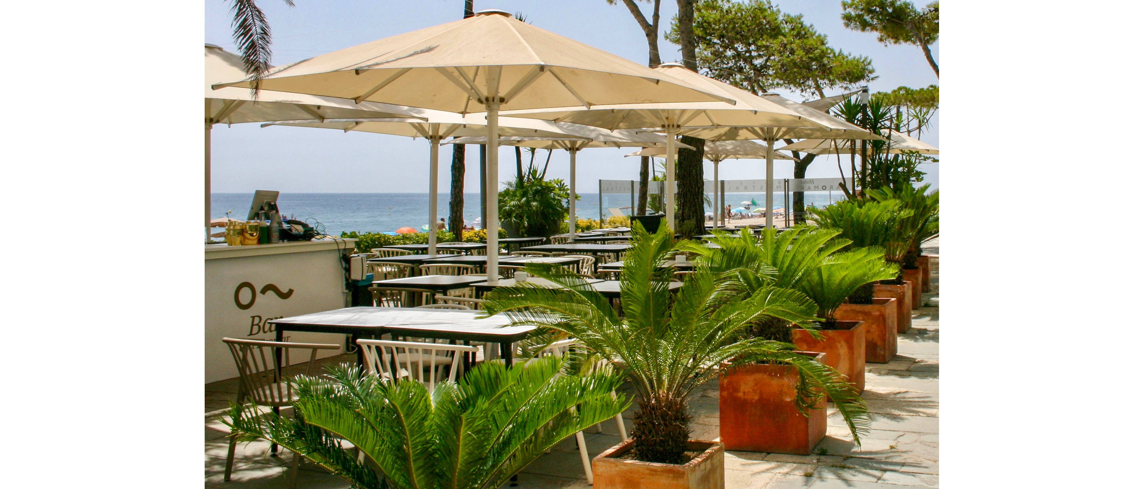 An open-air café with white tables and chairs is arranged under large cream-colored umbrellas near the seaside. Potted palm plants line the seating area, adding lush greenery to the paved terrace. The ocean and a clear sky are visible in the background, creating a relaxed coastal atmosphere. A small bar counter stands to the side, suggesting a casual dining or drink service setting.