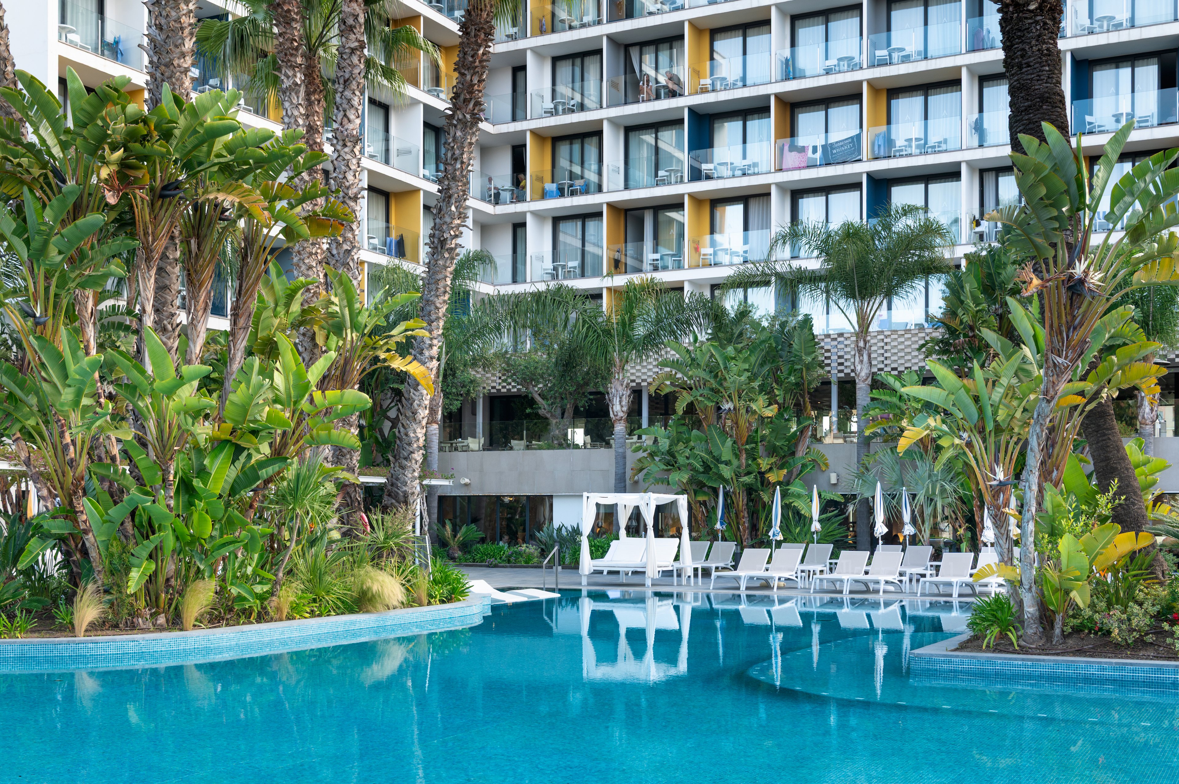 A large outdoor swimming pool sits in front of a modern multi-story hotel building. Tall palm trees and lush tropical plants surround the pool, creating a resort-like atmosphere. White lounge chairs and cabanas line the pool edge, suggesting a relaxing vacation setting. The building’s balconies and colorful accents add a contemporary urban resort feel.