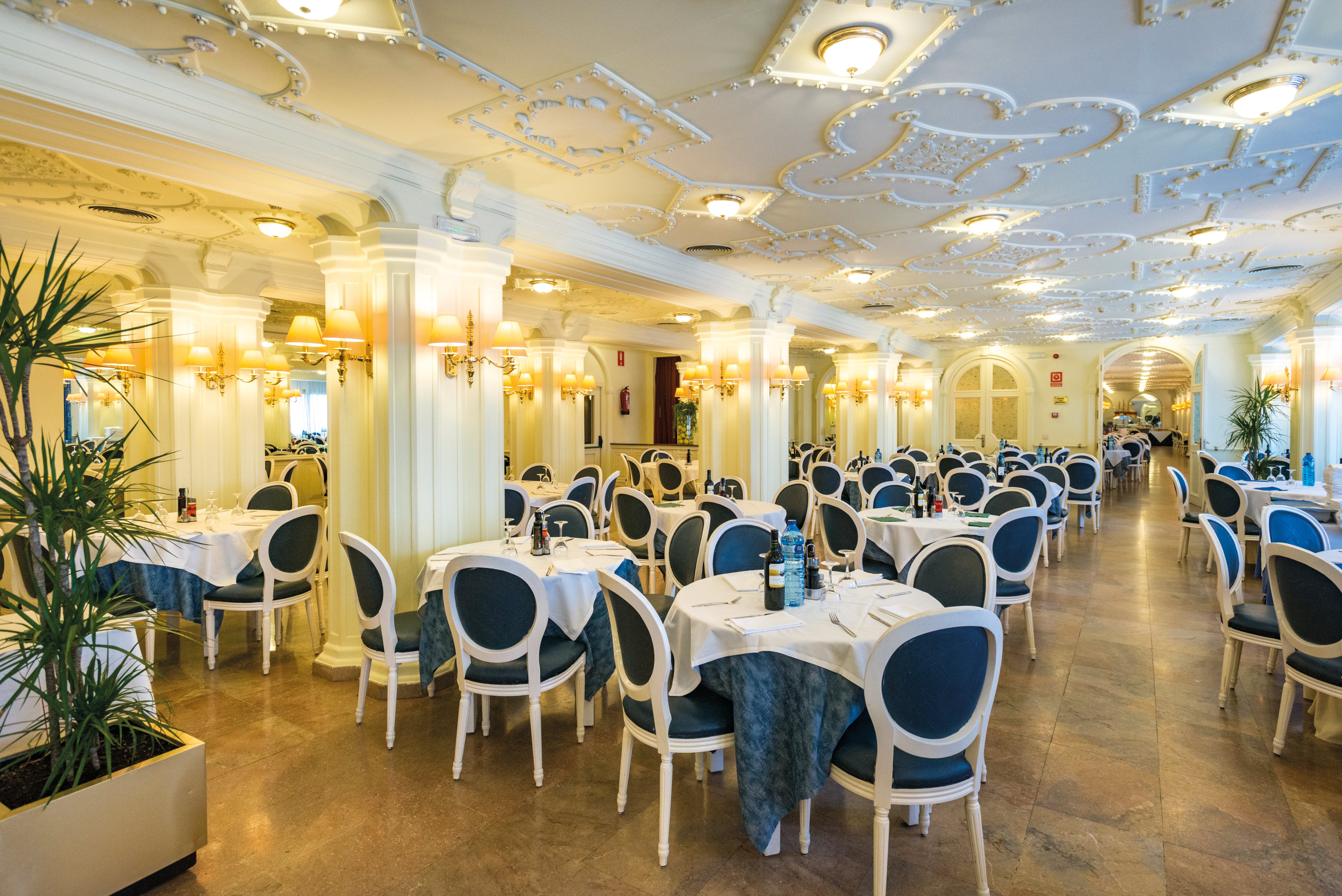 htop Amaika - Adults Only