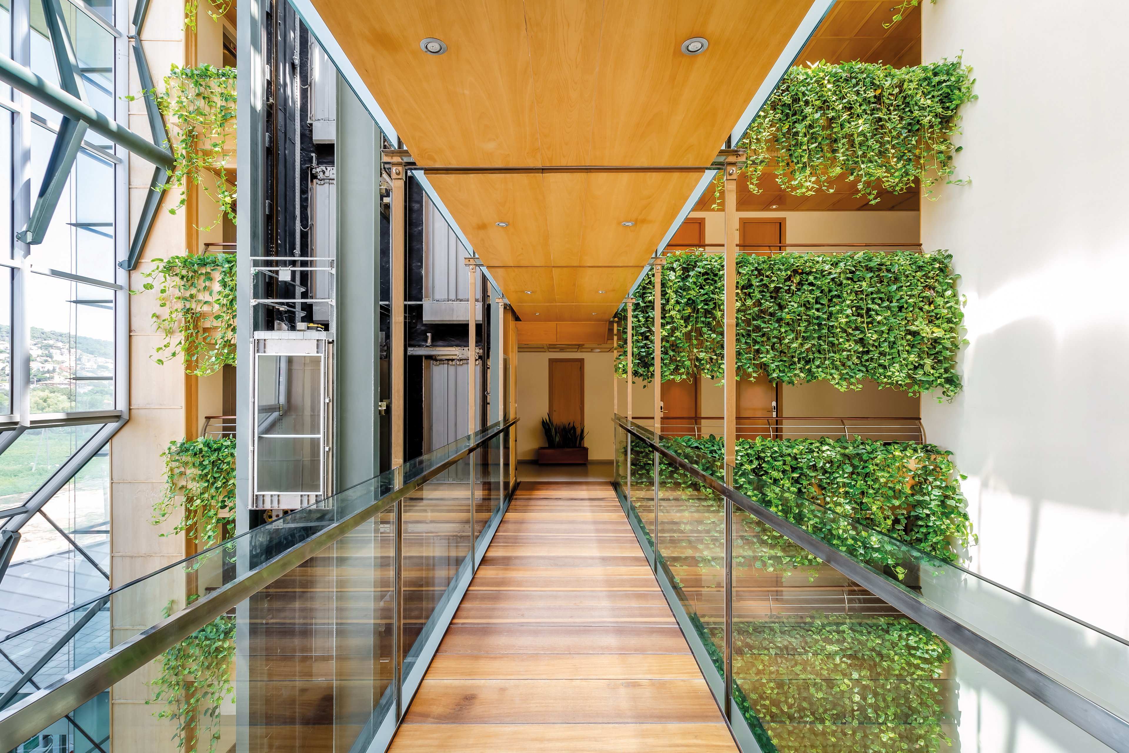 ALEGRIA Caprici Verd