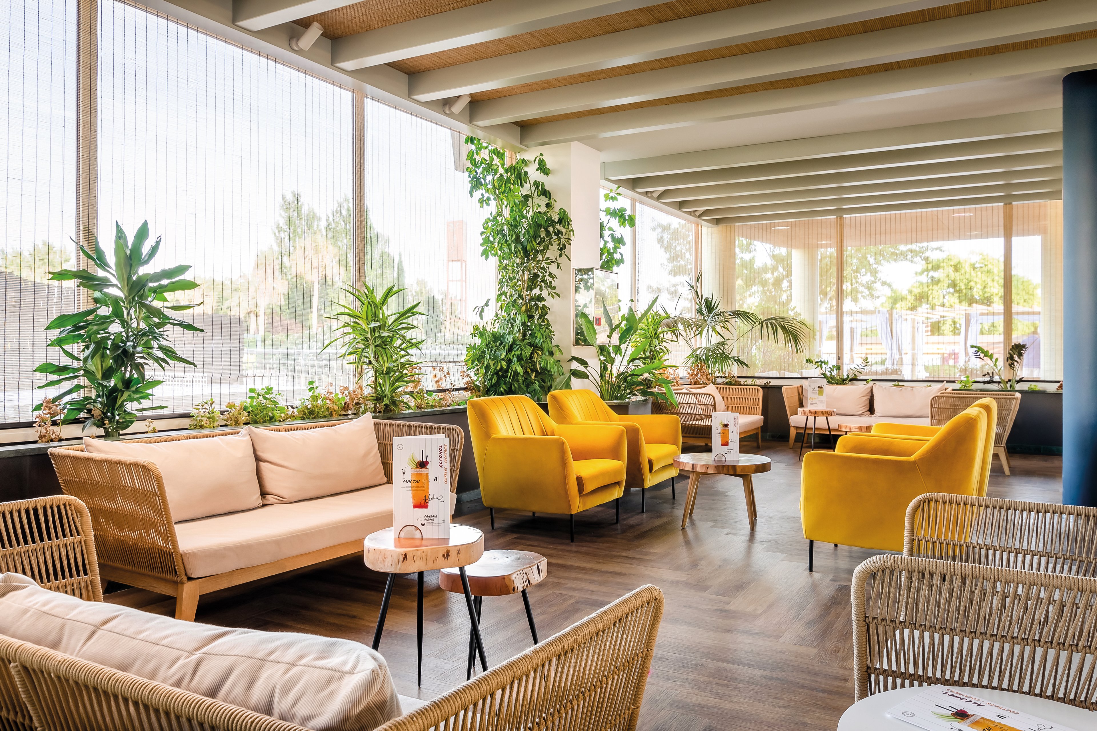 ALEGRIA Caprici Verd