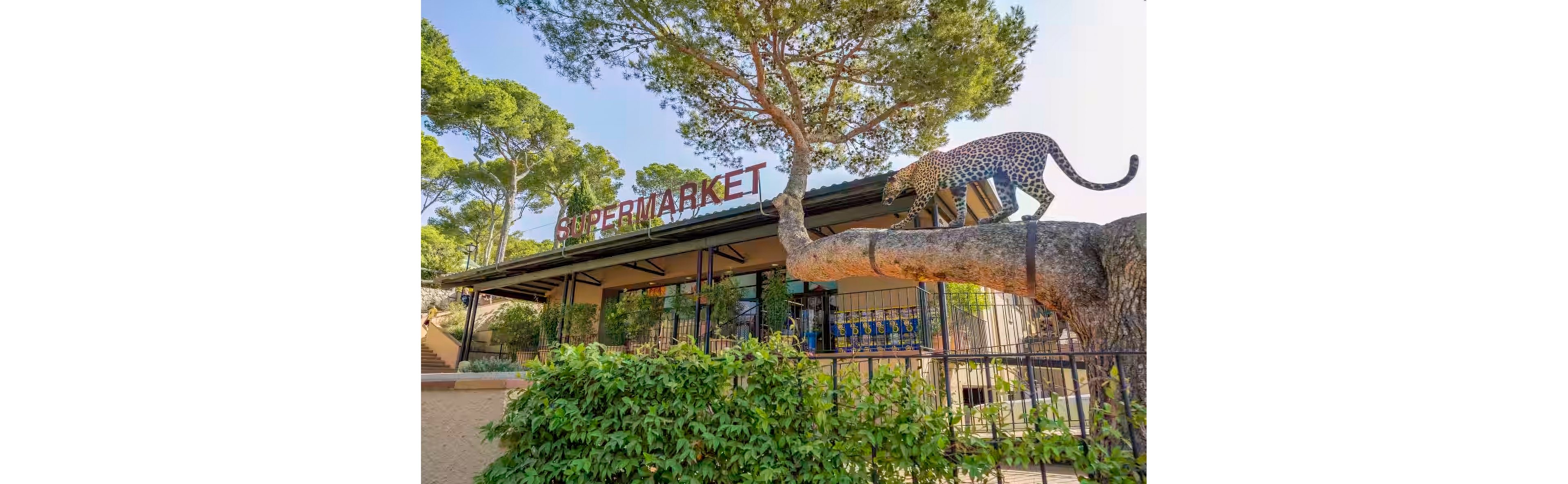 Camping Castell Montgri