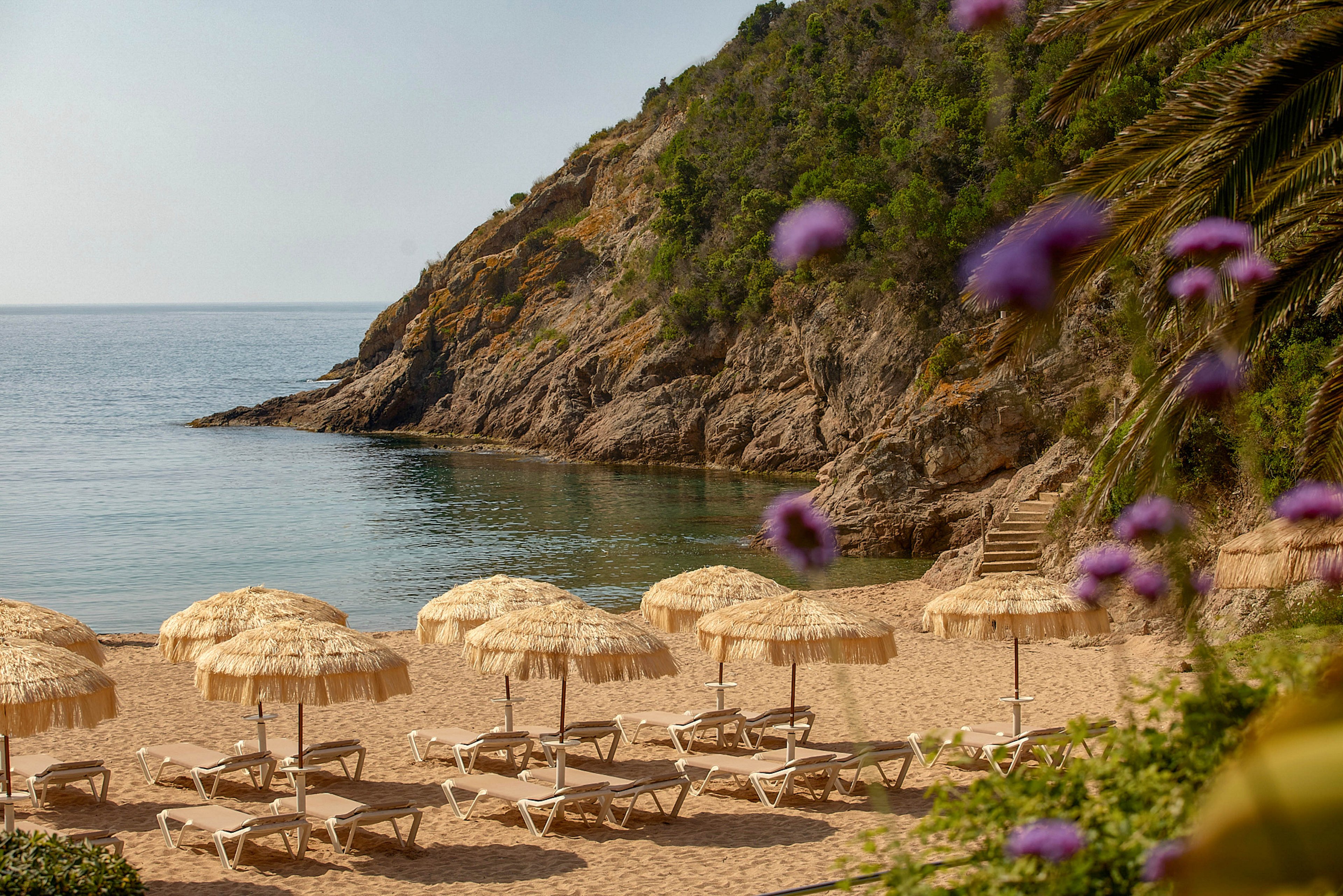 A tranquil sandy beach is lined with rows of straw umbrellas and empty lounge chairs facing a calm, clear sea. Rocky cliffs covered in green vegetation frame the secluded cove in the background. A stone staircase leads down from the hillside to the shoreline, enhancing the intimate, hidden feel of the location. Out-of-focus purple flowers and palm fronds in the foreground add a touch of color and depth to the serene coastal scene.