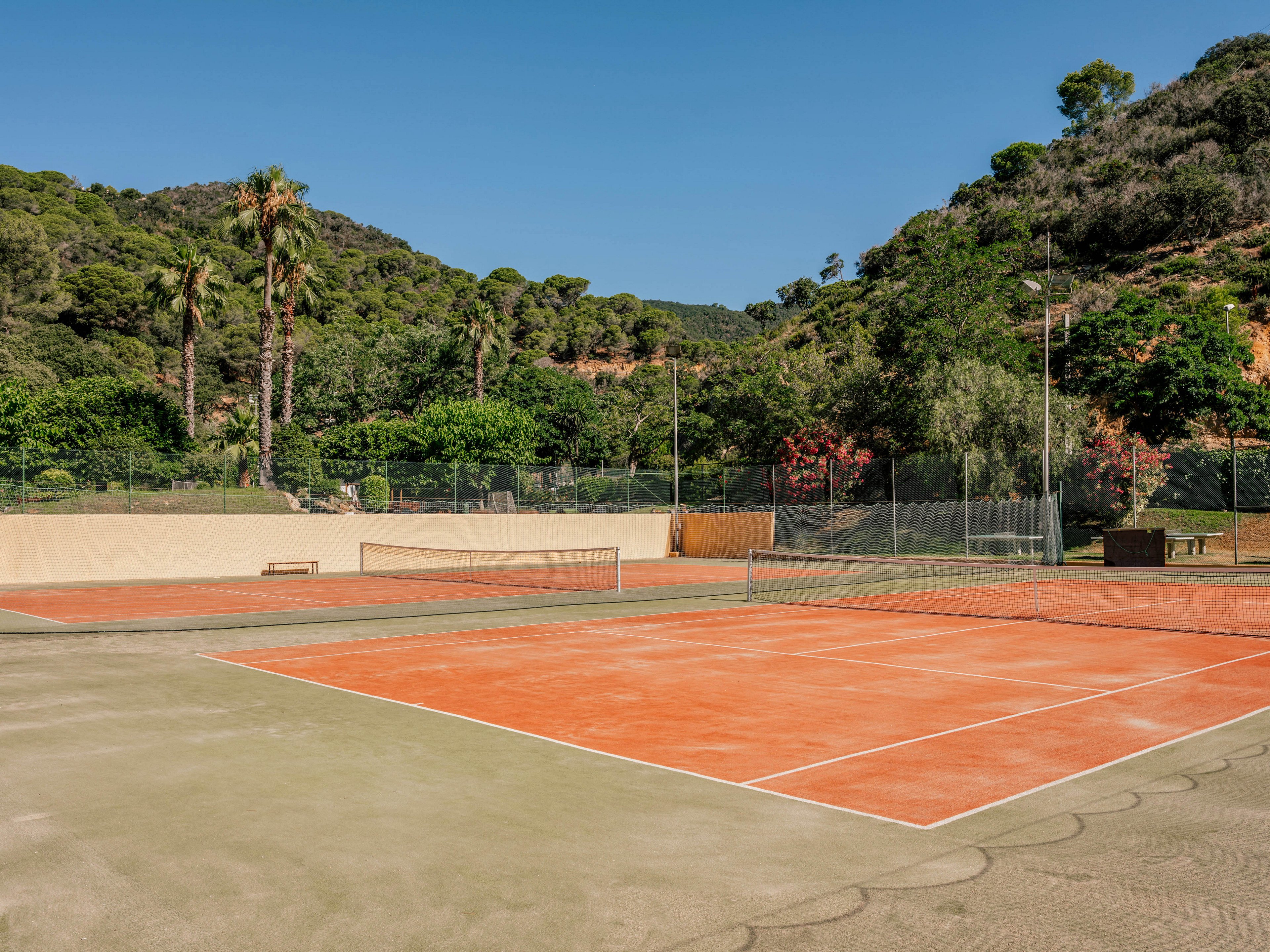 An empty clay tennis court is shown in an outdoor sports facility under clear blue skies. The court is surrounded by fencing, low walls, and lush green vegetation. Tall palm trees and wooded hills rise in the background, creating a scenic natural setting. The bright sunlight and warm tones suggest a calm, peaceful atmosphere.