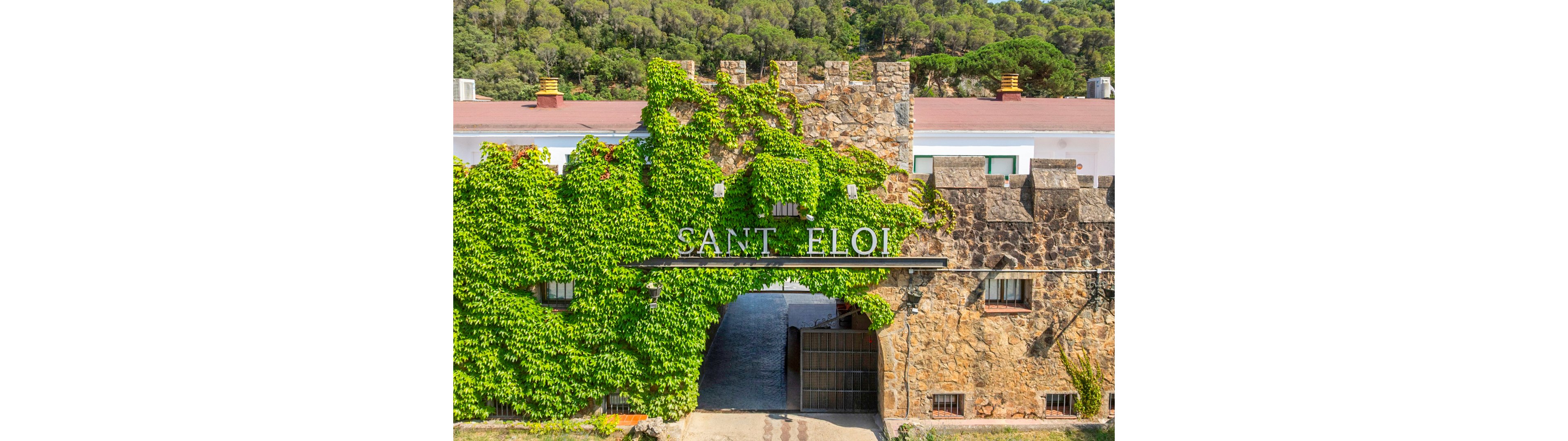 Medplaya Aparthotel Sant Eloi