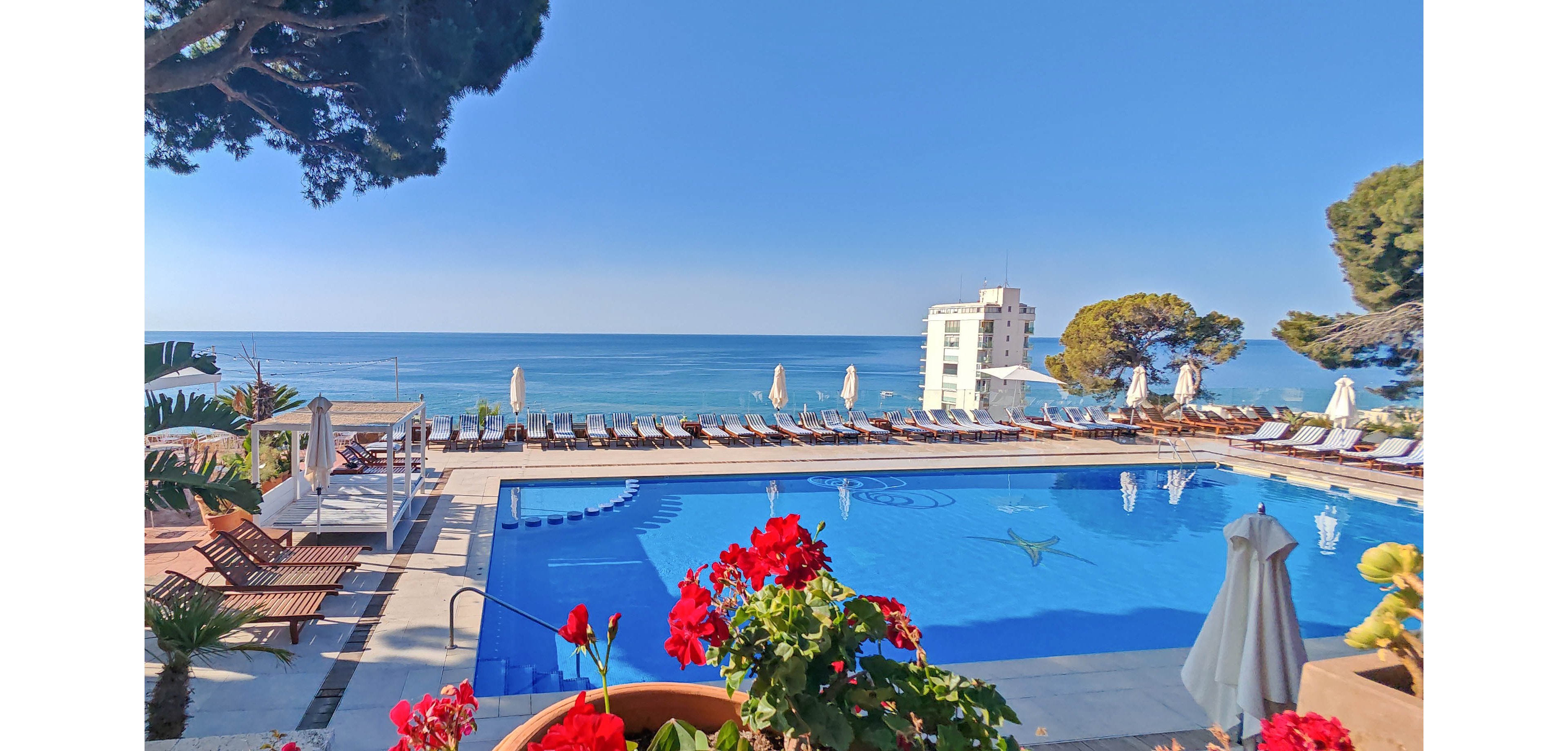 A large outdoor swimming pool sits on a hotel terrace overlooking a calm blue ocean. Numerous sun loungers and white umbrellas line the poolside, suggesting a relaxing vacation setting. Bright red flowers in the foreground add a vibrant contrast to the blue water and sky. A multi-story building and tall trees frame the scene, enhancing the coastal resort atmosphere.
