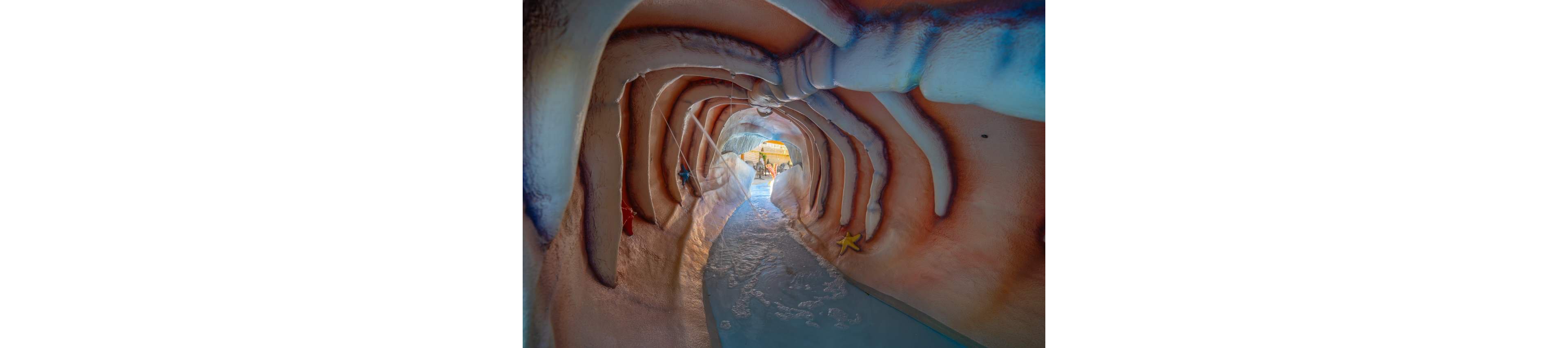 A whimsical water slide tunnel is designed to look like the inside of a giant sea creature or shell. Shallow water flows along the curved path, leading toward bright daylight at the exit. The tunnel walls are painted in warm coral tones with blue accents and feature decorative starfish and other marine details. Sunlight beams in from the opening, creating a playful, family-friendly atmosphere.