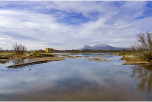 Montgrí Natural Park