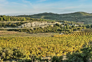 Minervois wine tasting