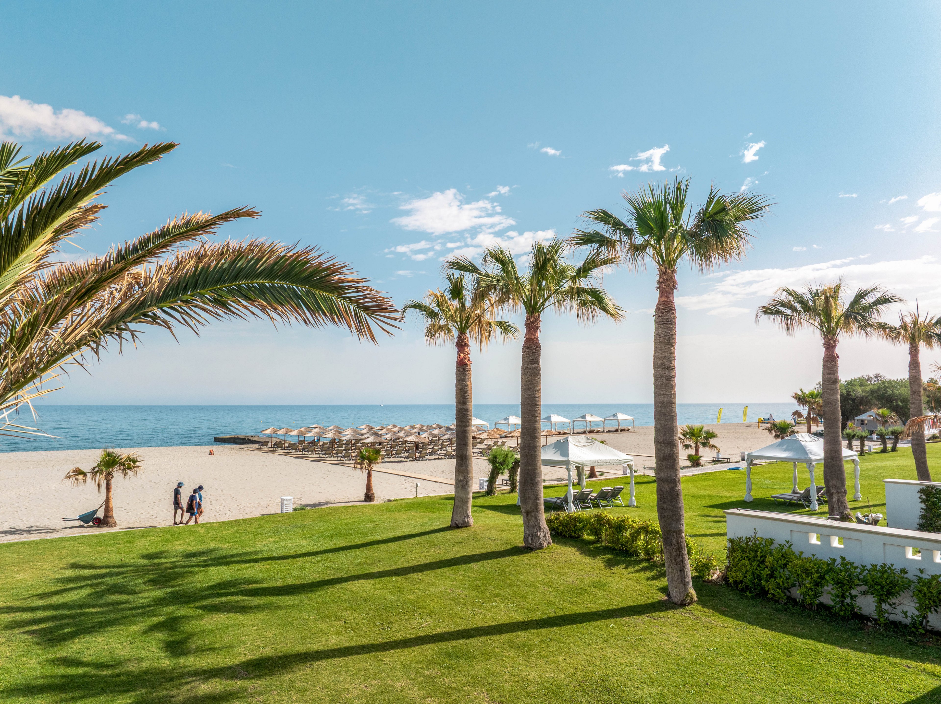 A bright coastal resort scene features tall palm trees overlooking a sandy beach. Neatly arranged sun loungers and umbrellas line the shoreline beside the calm blue sea. A few people stroll along the path between the manicured green lawn and the beach. The clear sky and soft light create a relaxed, vacation atmosphere.