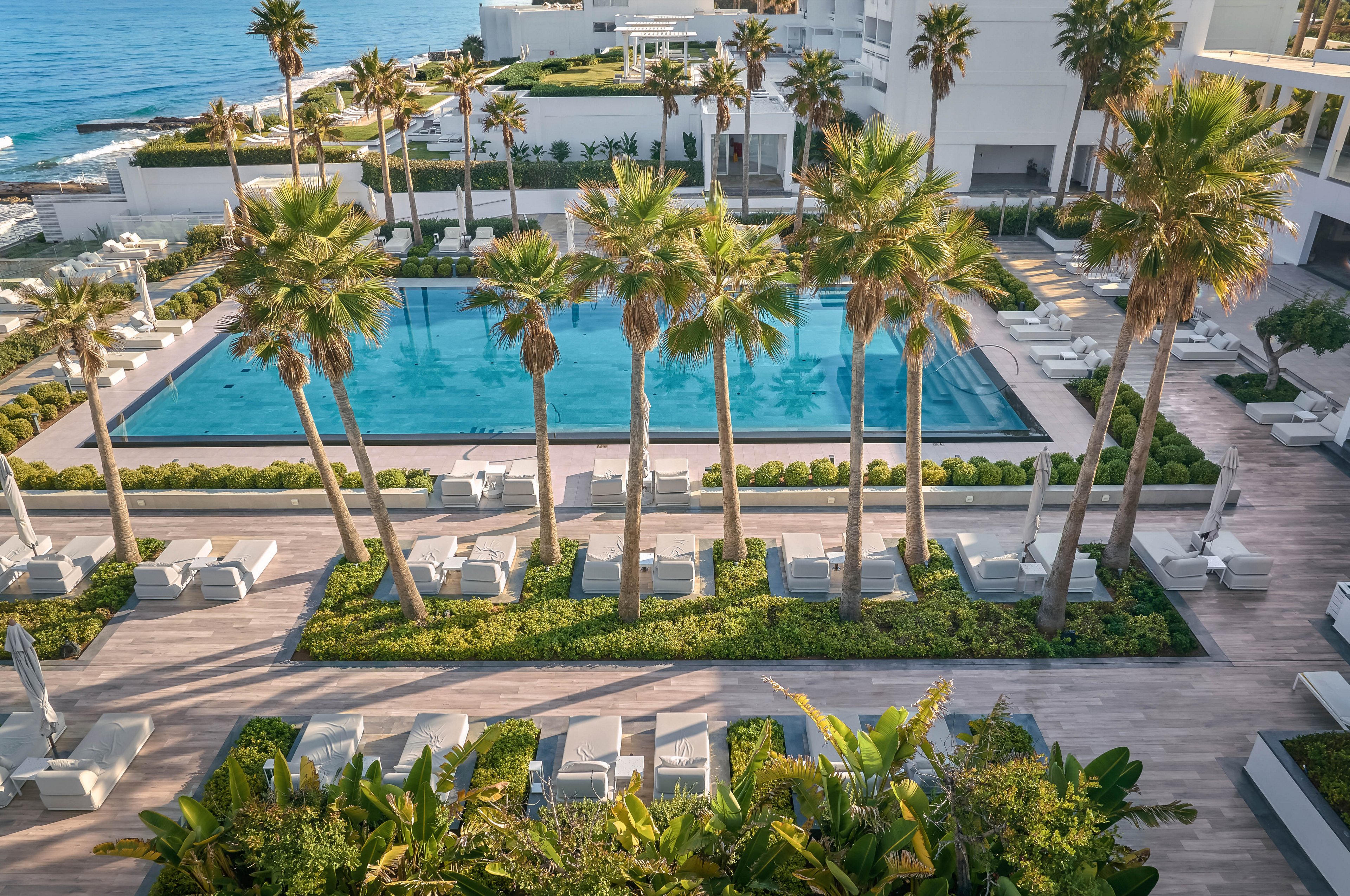 An elevated view overlooks a luxurious resort swimming pool framed by tall palm trees. Sun loungers and cabanas are neatly arranged around the pool on light stone terraces. Lush green landscaping and manicured hedges create a tropical garden atmosphere. In the background, modern white buildings and the blue sea complete the serene coastal setting.