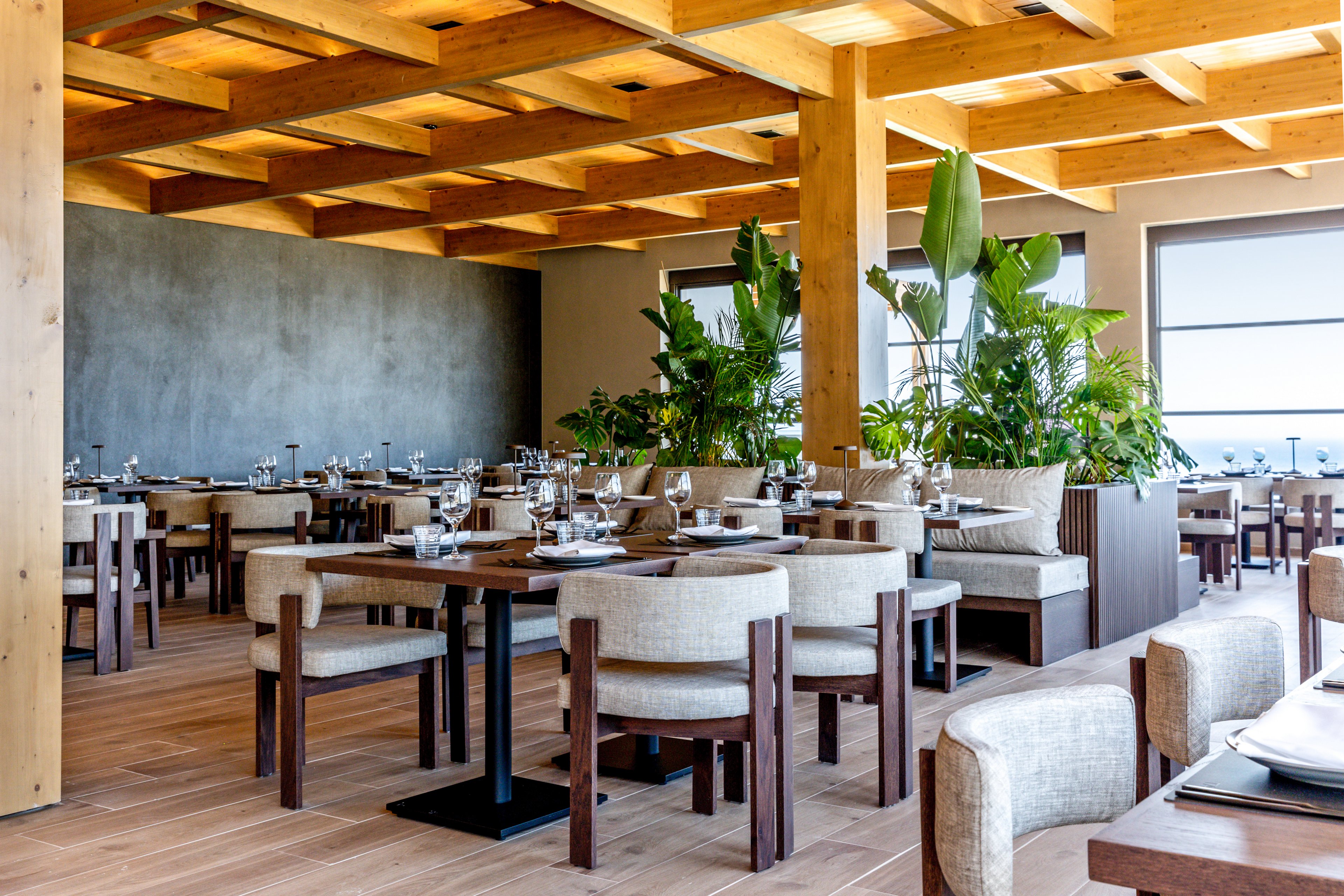 Elios Hill Sun Kissed Happiness