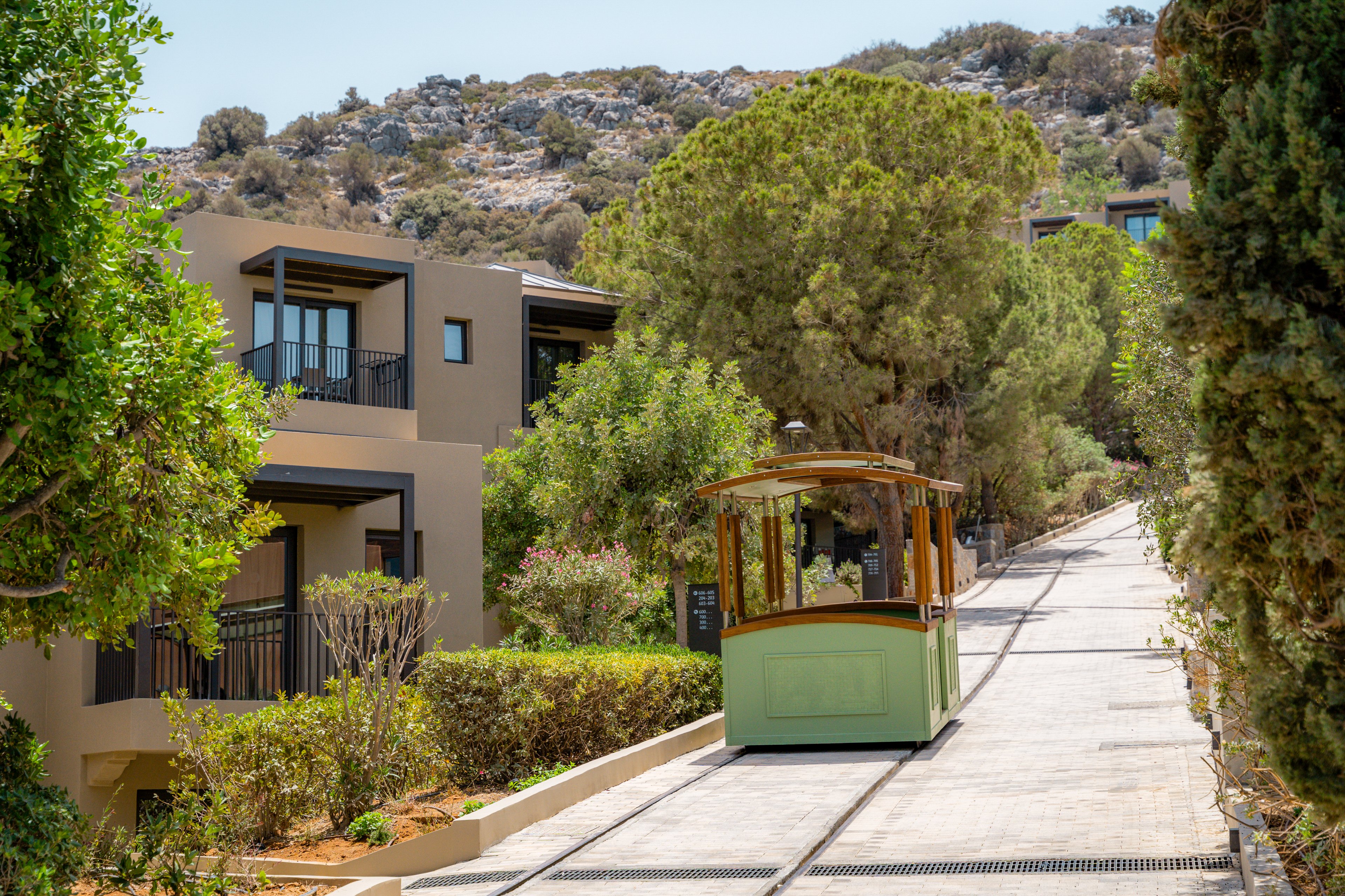 Elios Hill Sun Kissed Happiness