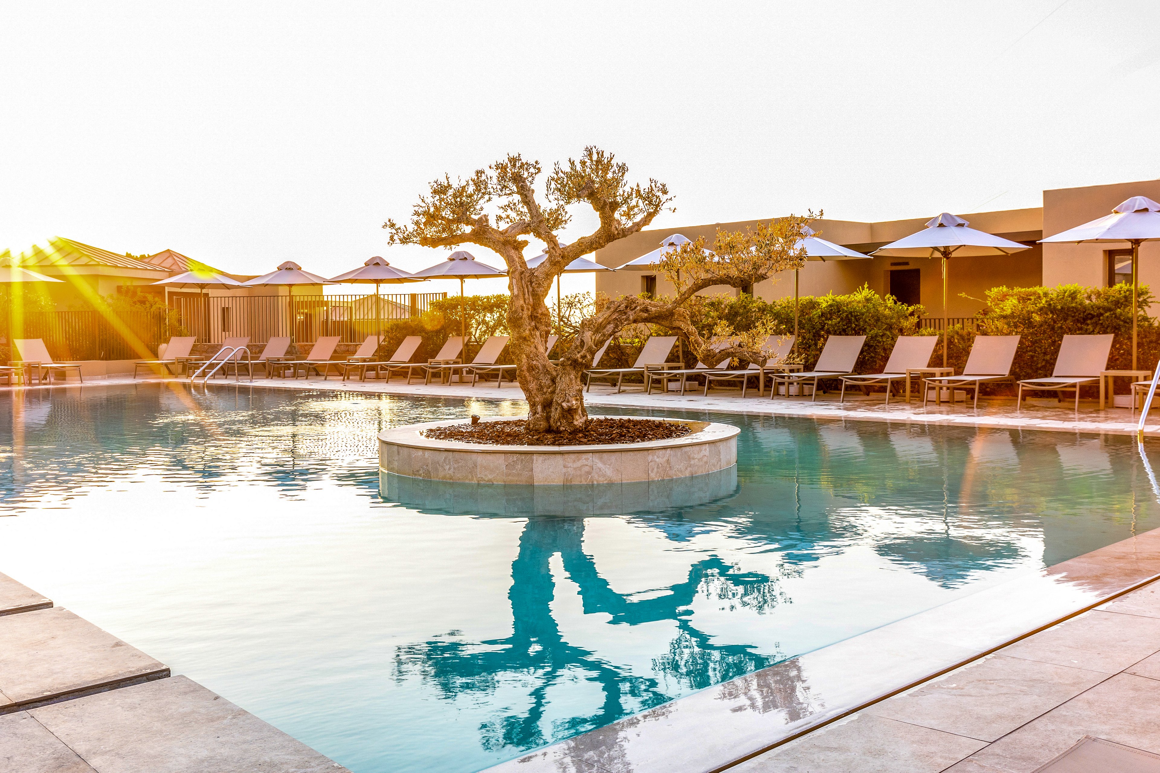 Elios Hill Sun Kissed Happiness