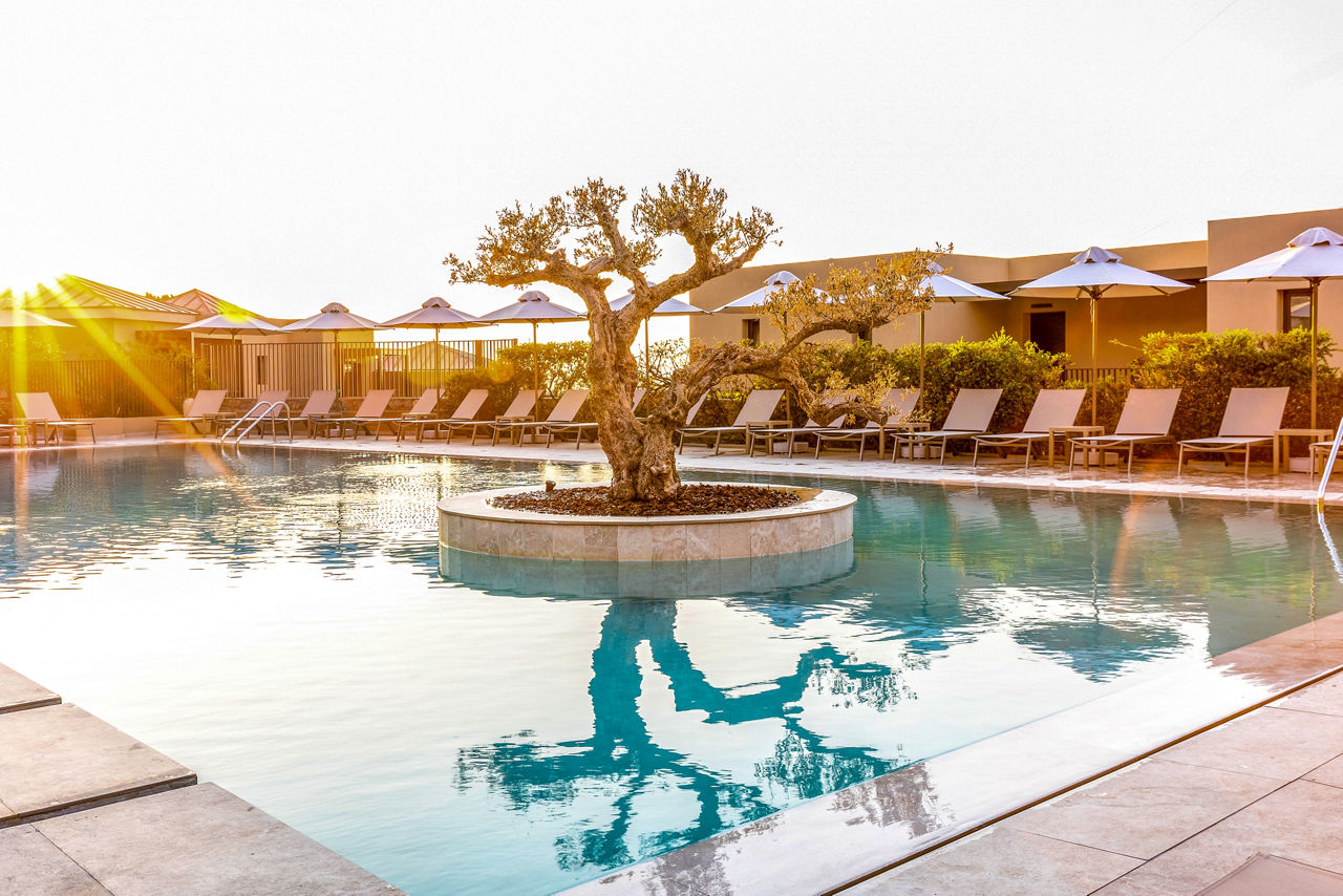 Elios Hill Sun Kissed Happiness