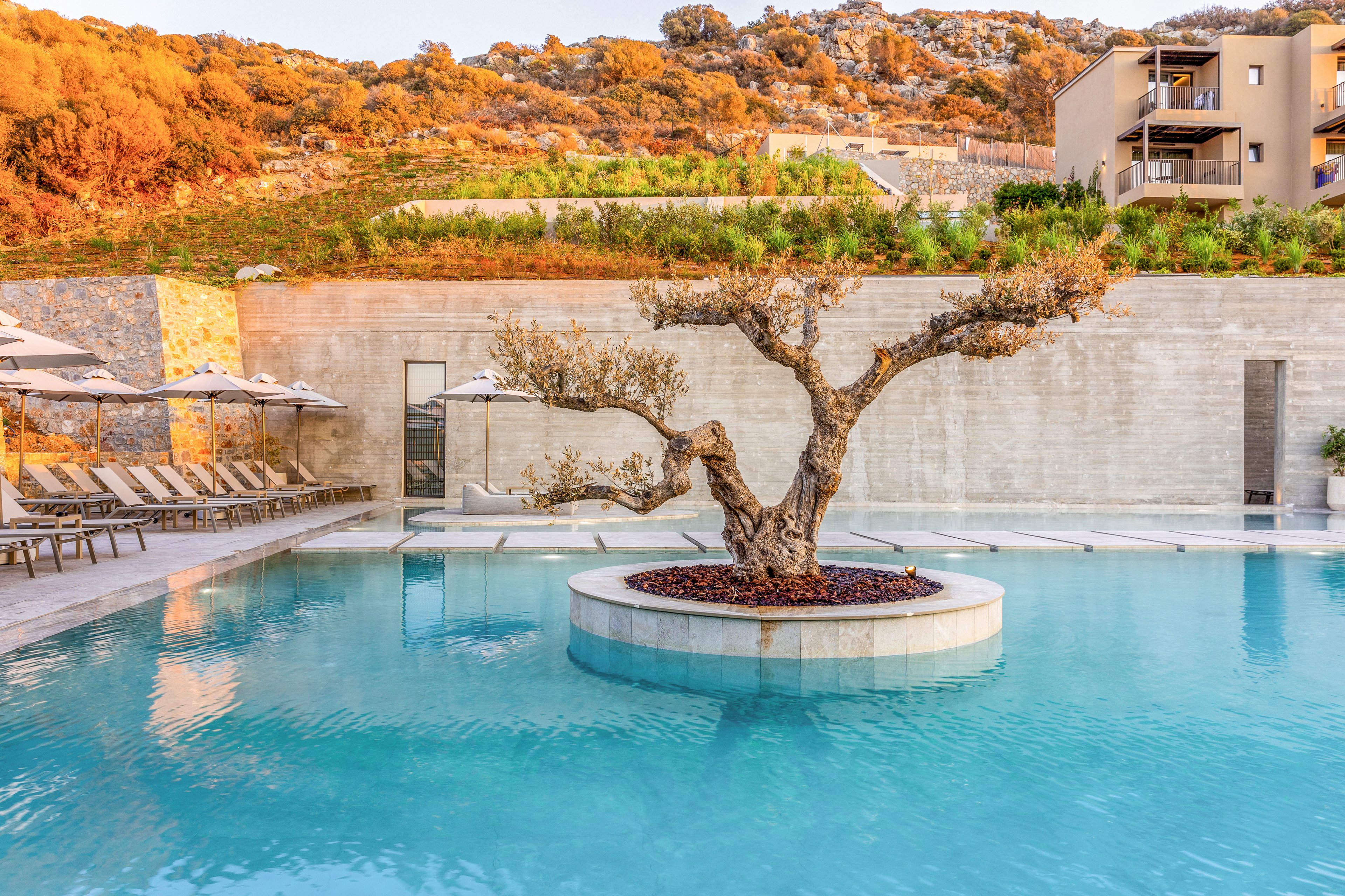 Elios Hill Sun Kissed Happiness