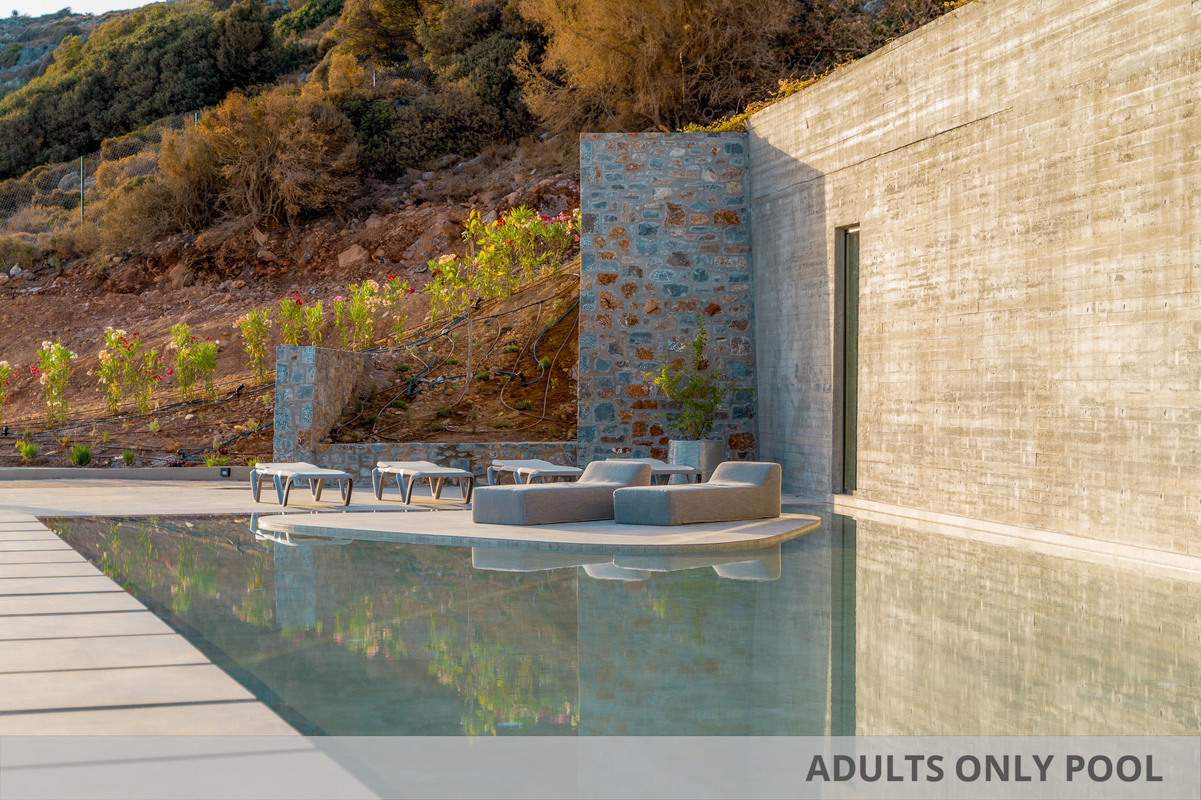 Elios Hill Sun Kissed Happiness