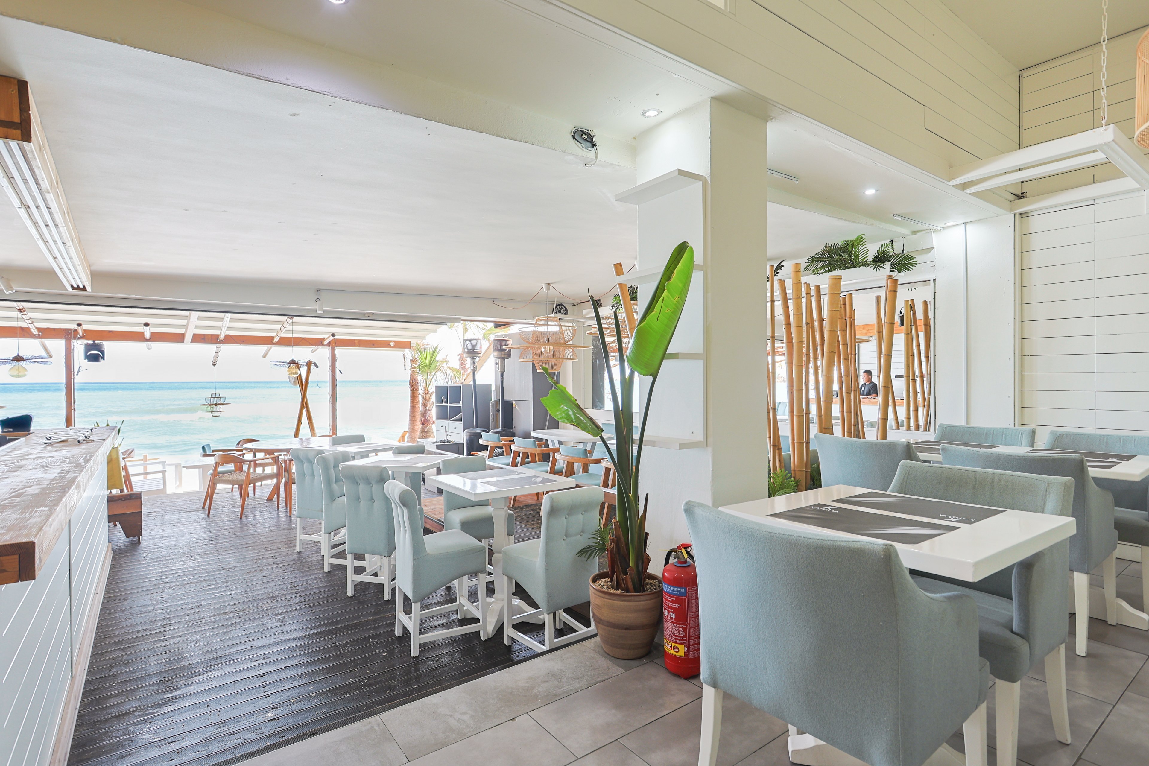A contemporary open-air restaurant overlooks a bright blue ocean. Soft pastel chairs and white tables are neatly arranged in both indoor and outdoor dining areas. Large windows and an open layout allow natural light to flood the space, highlighting tropical plants and wooden accents. The relaxed coastal setting suggests a casual yet stylish dining experience by the sea.
