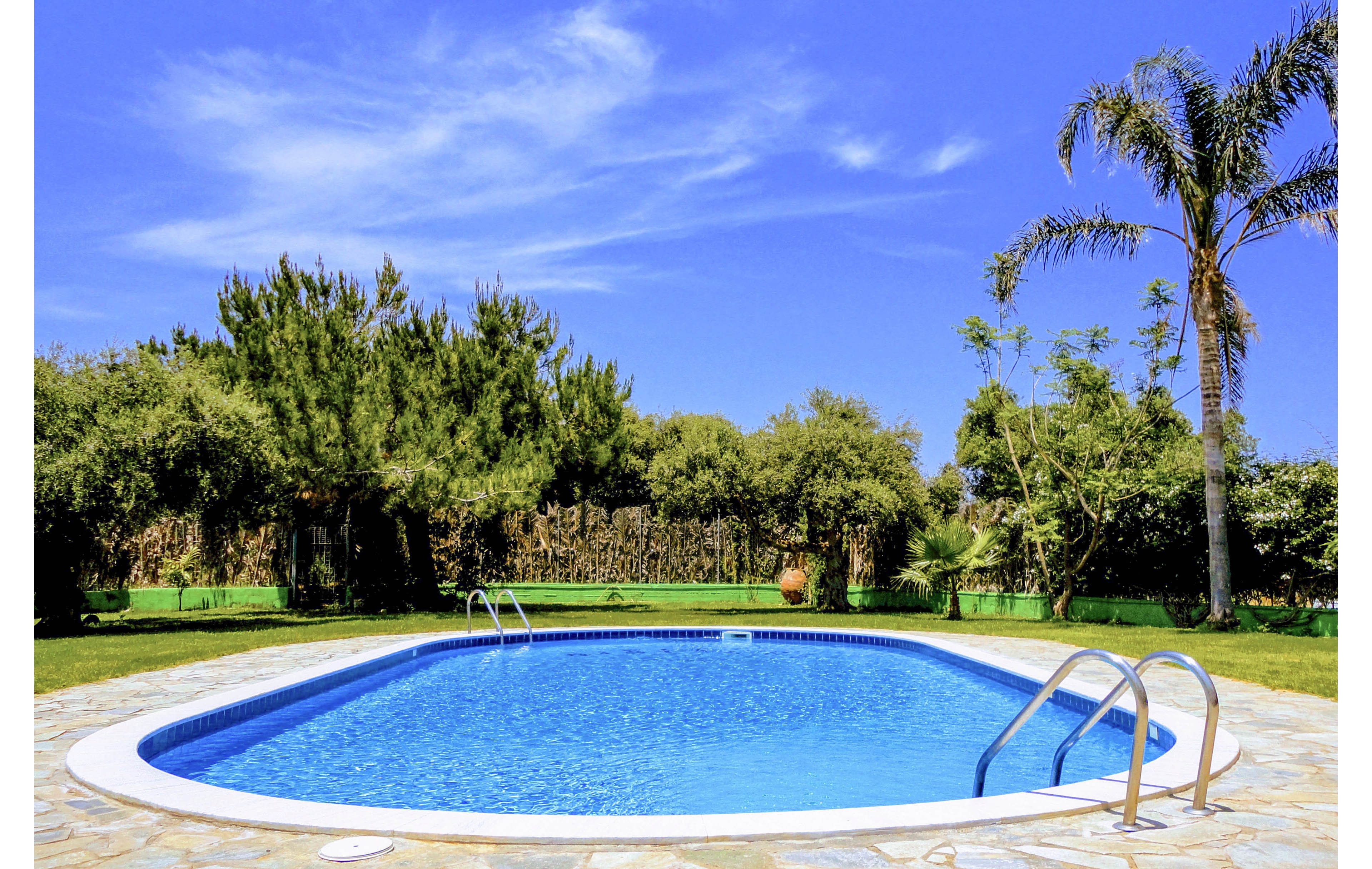 A clear blue swimming pool is set in a well-maintained backyard surrounded by green grass and various trees, including a tall palm. The sky is bright and cloudless, creating a vibrant and inviting atmosphere. Stainless steel pool ladders are visible, and the stone pool deck adds a touch of elegance to the outdoor setting.